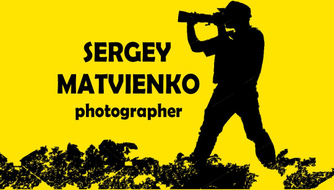 sergey-matvienko.ru