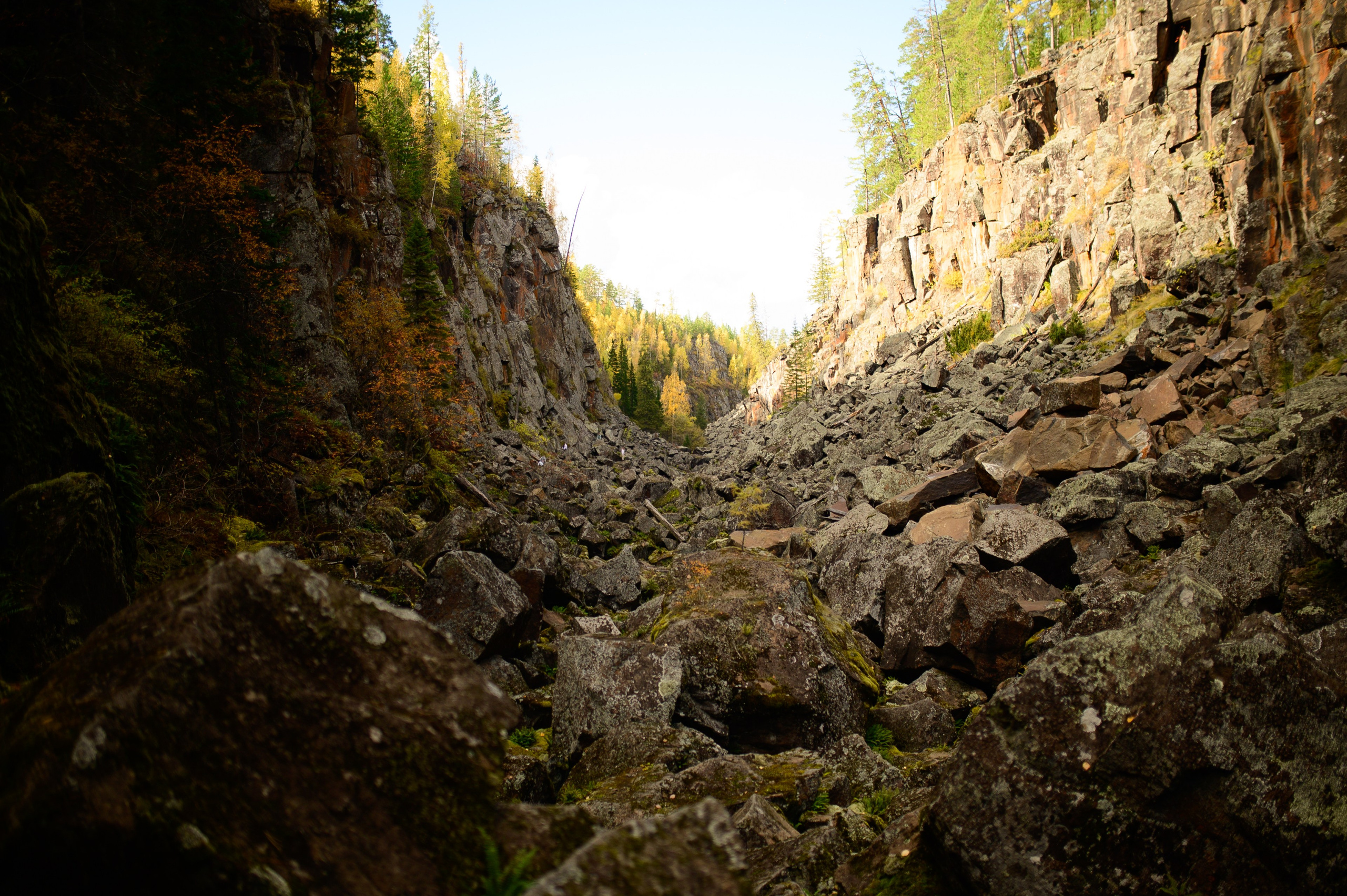 Фотопрогулка на Селяхту г. Усть-Илимск. Свадебный и индивидуальный Фотограф г. Усть-Илимск Дмитрий Белозеров