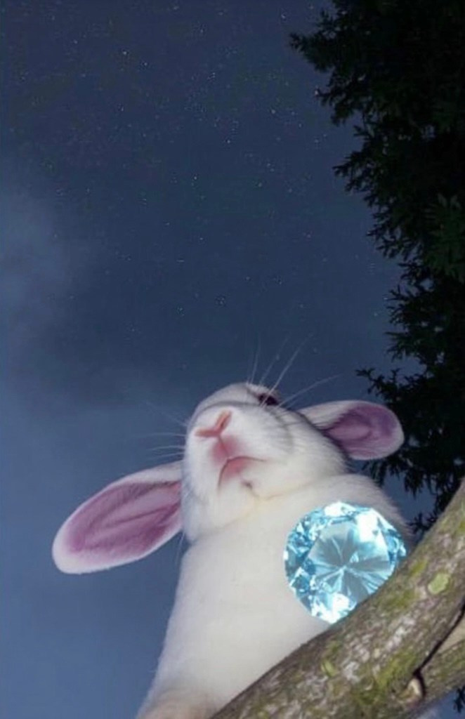 С 13 мая 2025 года в арт-резиденции Катиция