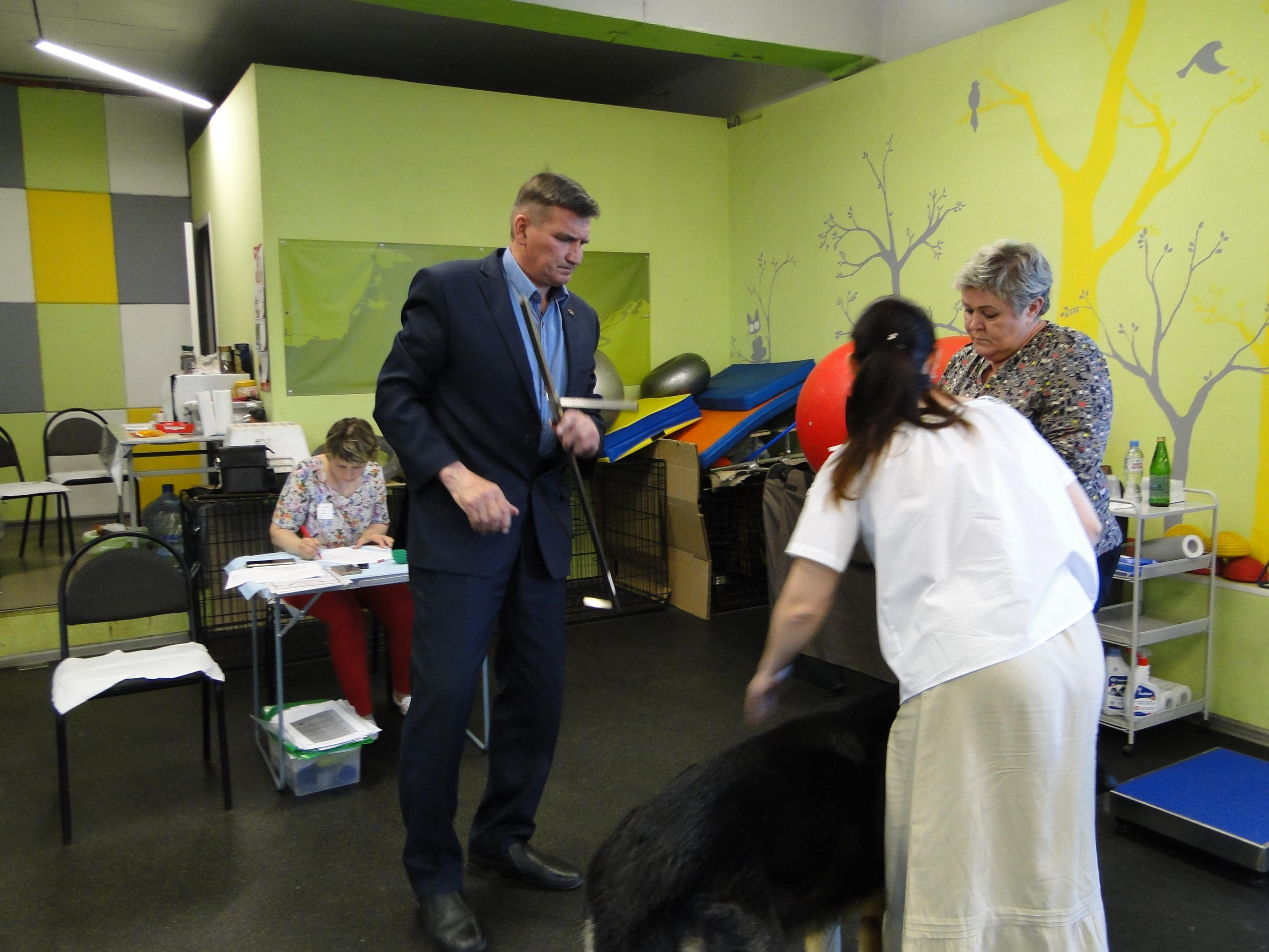 Семинар «Организация племенного дела. Воспитание и тестирование щенков». НРОО КЦ "Собаковод"