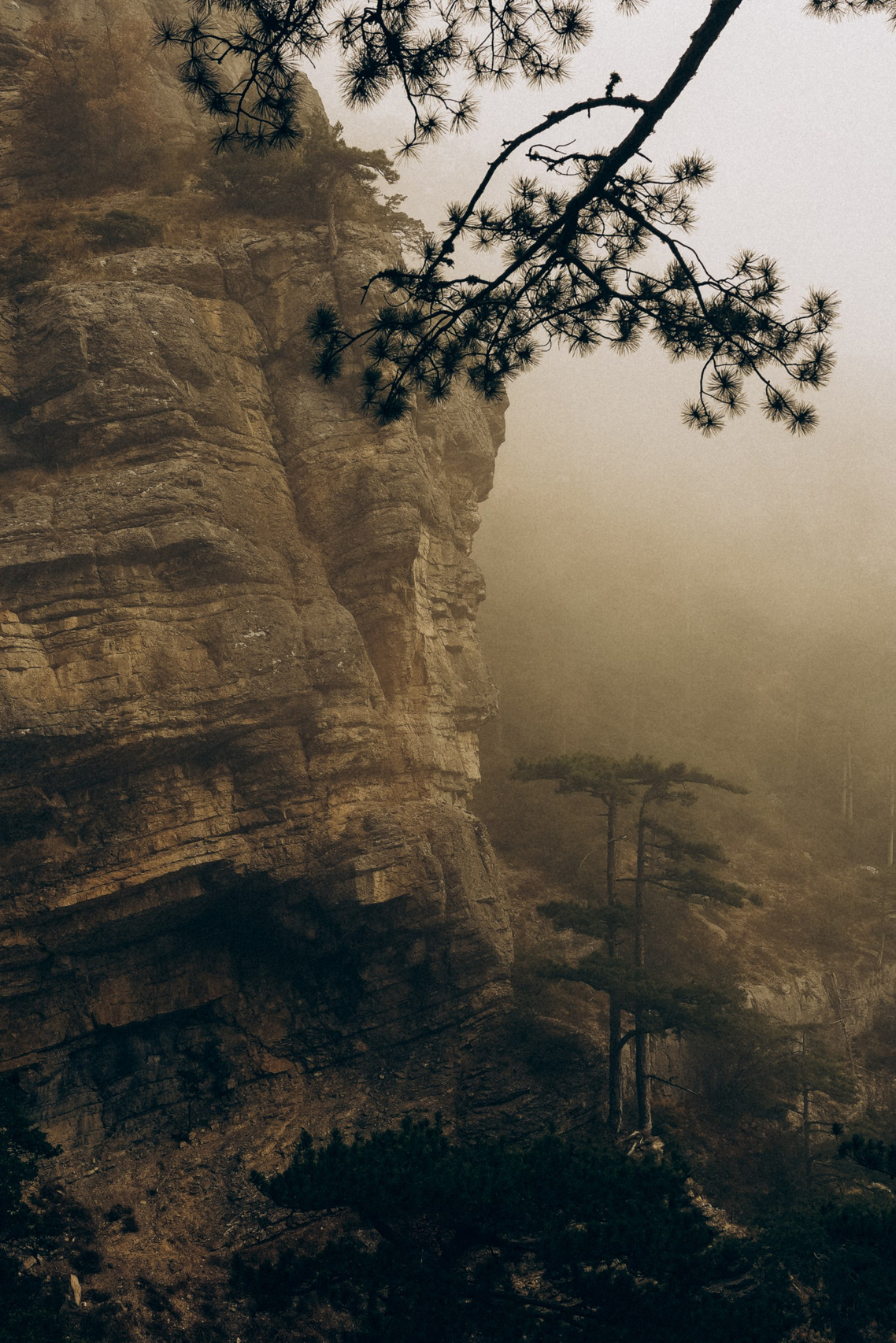 Боткинская тропа. Фотограф из Москвы — DASHA NOVA | Авторская фотография в разных жанрах