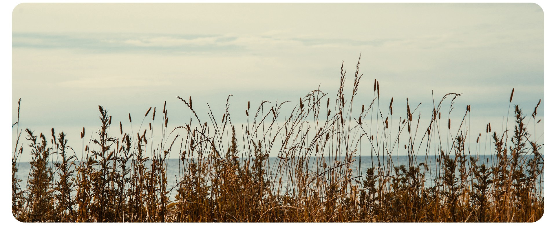 Калининград 3. Фотограф из Москвы — DASHA NOVA | Авторская фотография в разных жанрах