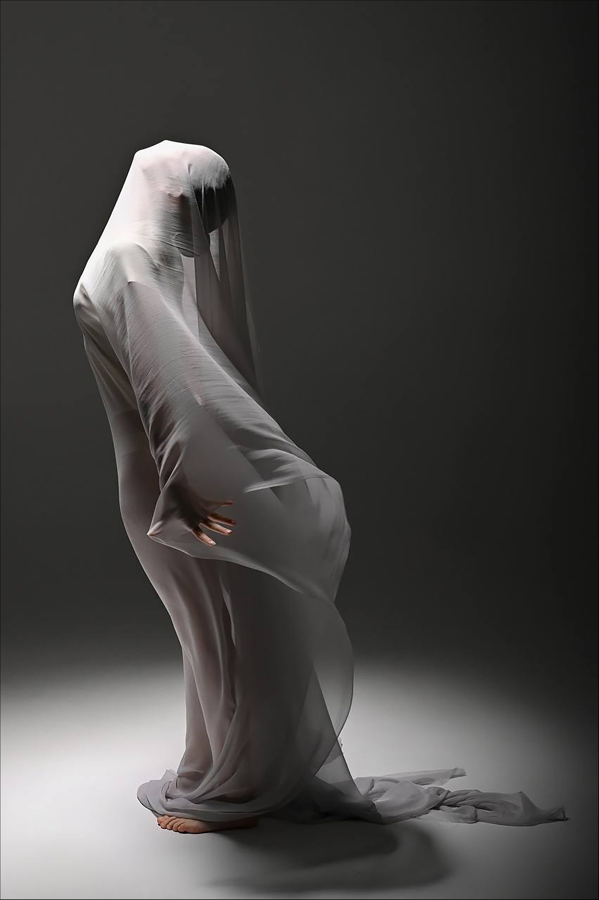 Философия портрета XIX поток. Platon Photographer