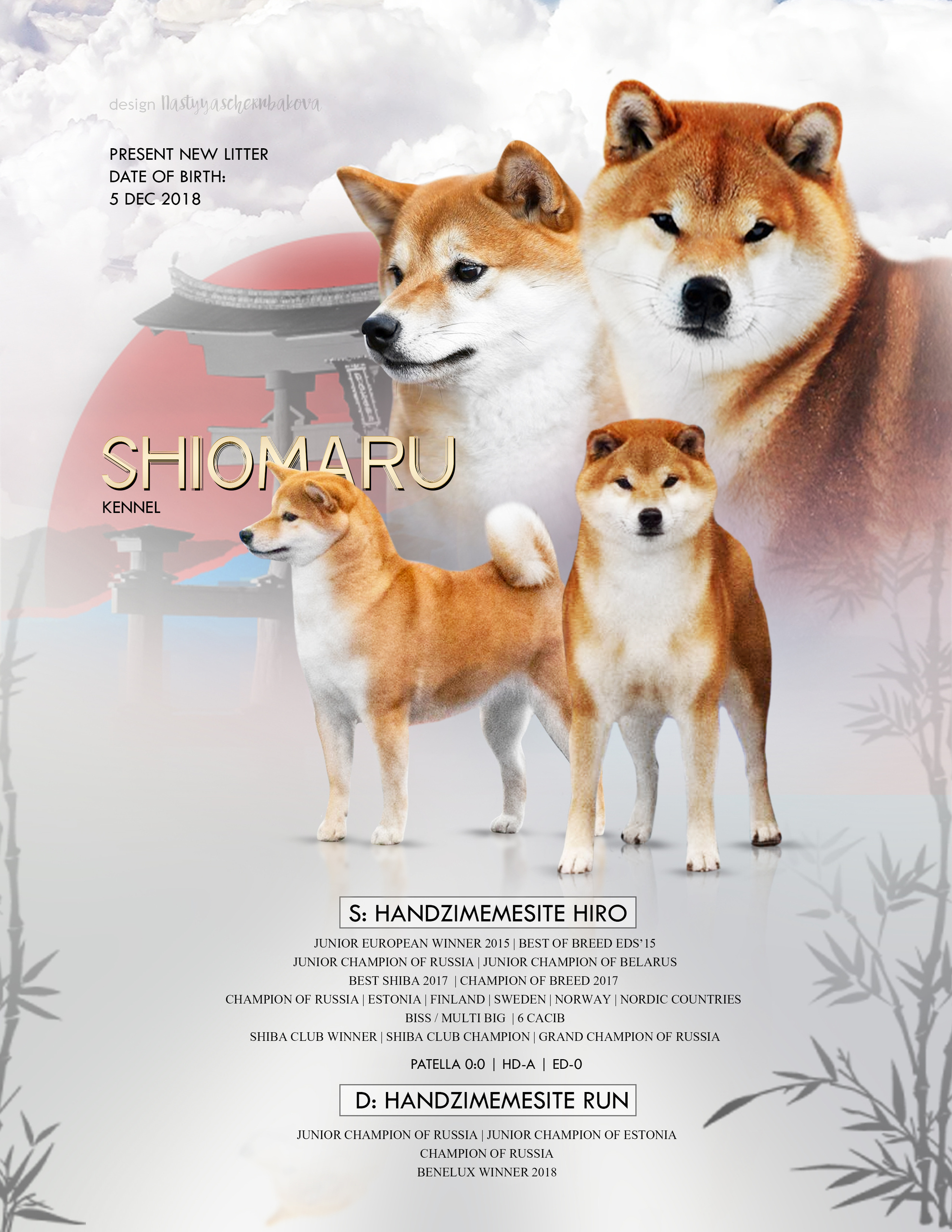 LITTERS. SHIOMARU Shiba and Akita Inu Kennel
