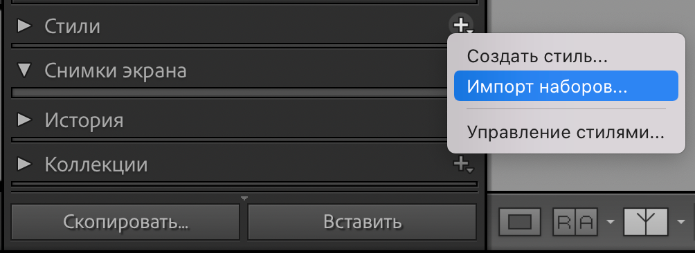 Пресеты. Фотограф Alena Ray