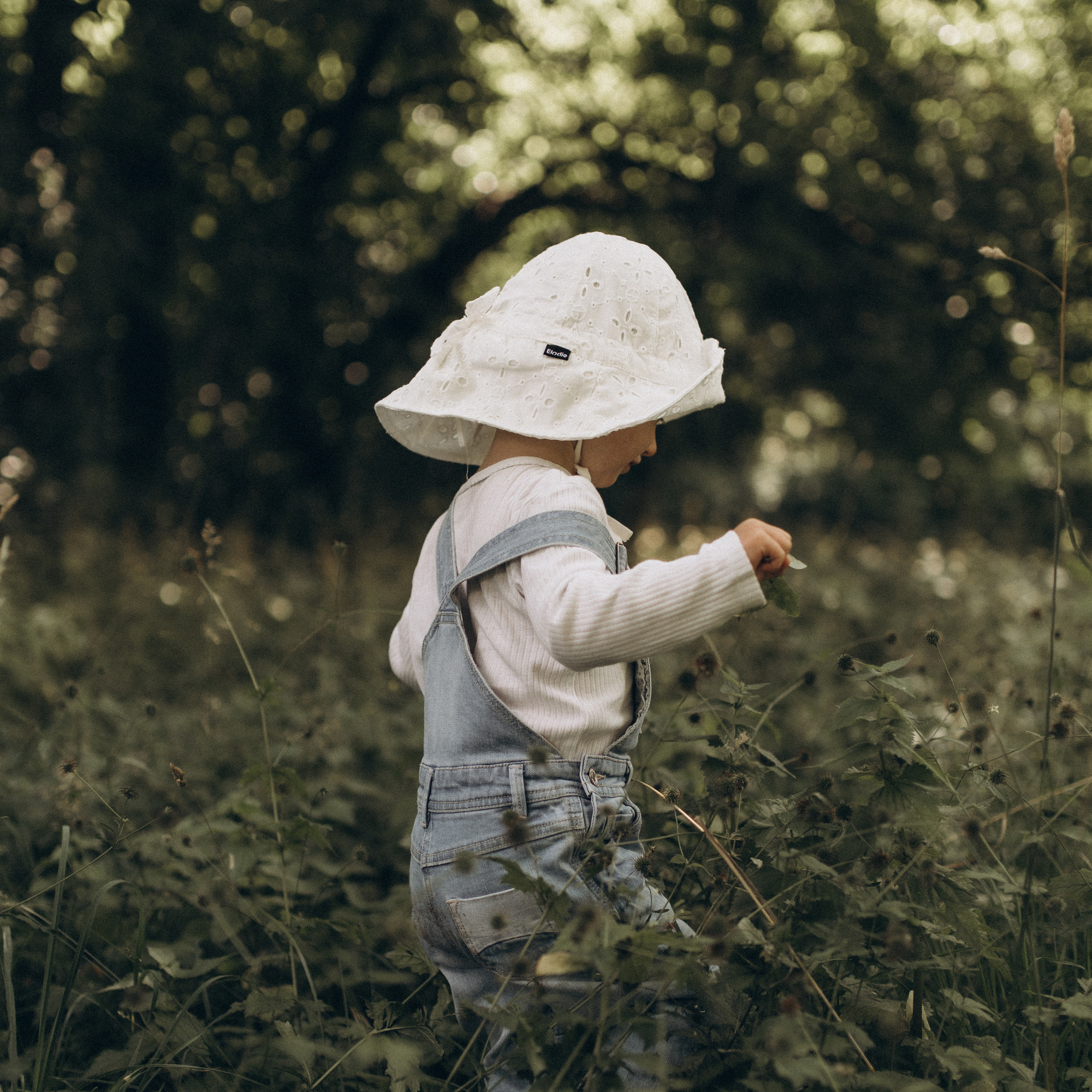 Услуги и цены. Детский и семейный фотограф в Москве Мария Барыкина