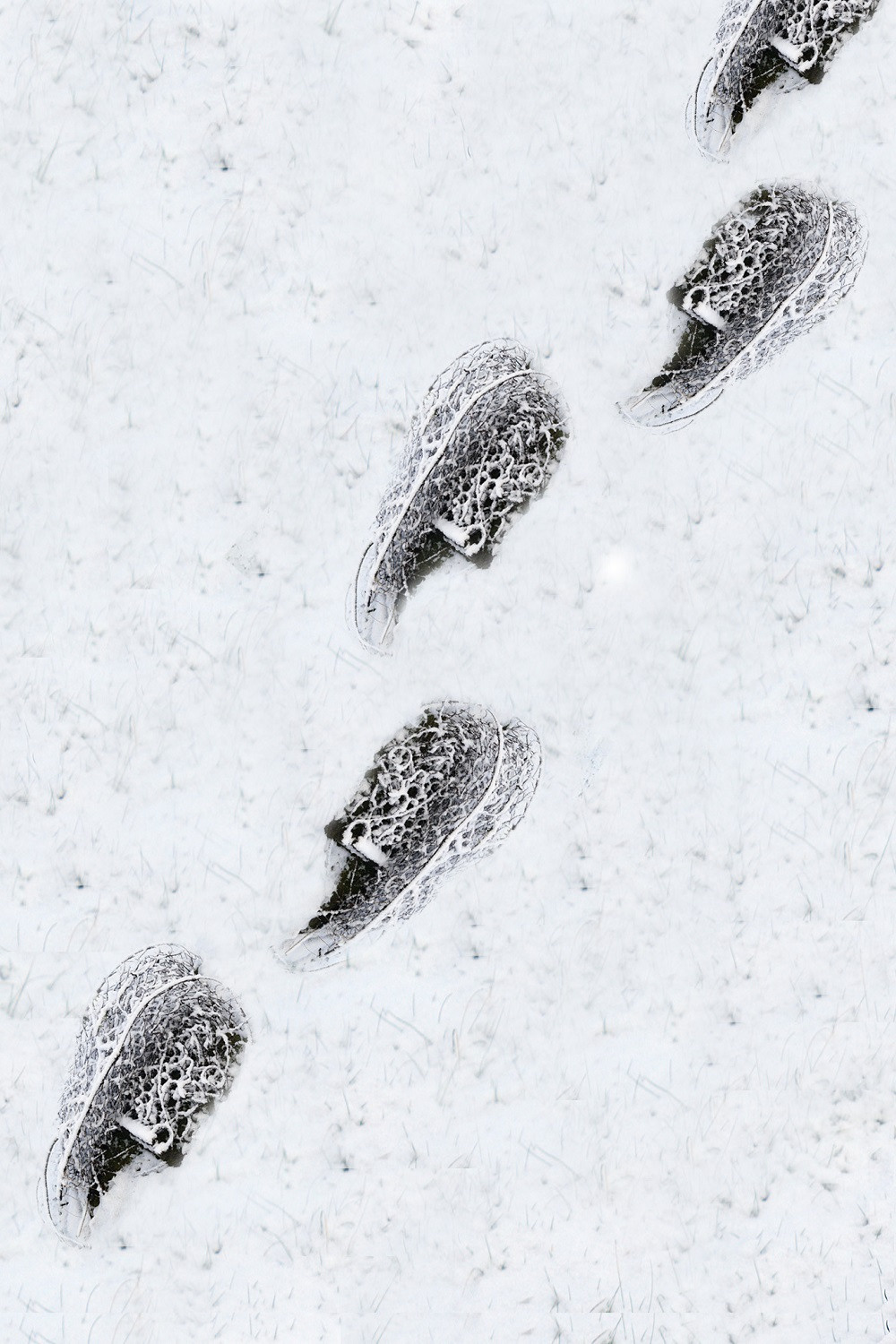 Кураторский проект «Инородное тело»