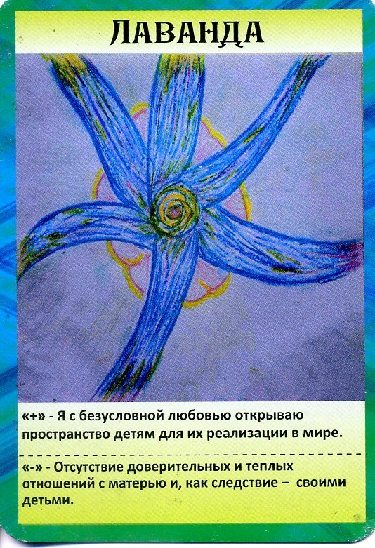 Масло лаванды. VDAO.RU — исцеляющие практики