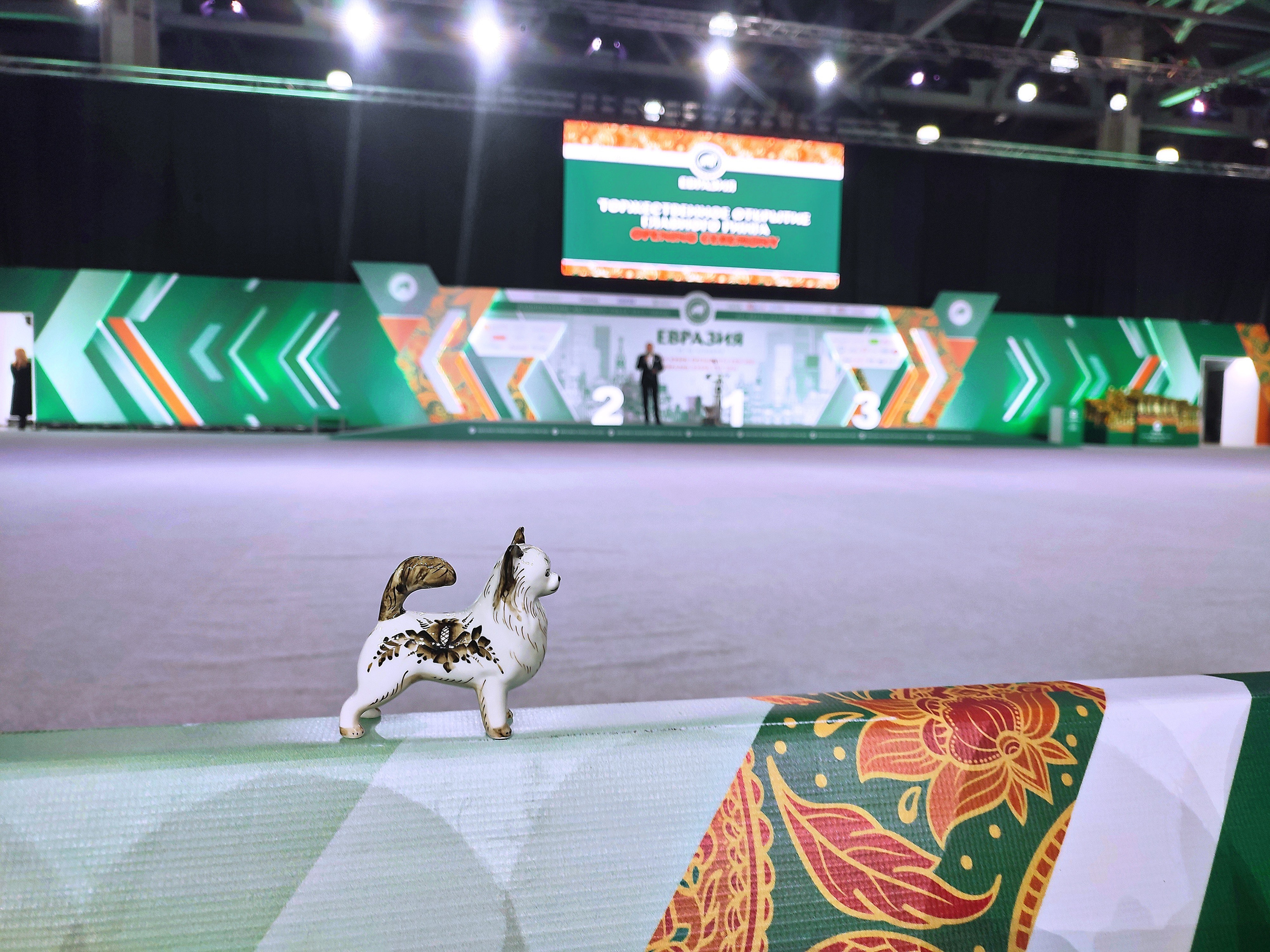 15-16.11.2025 ЕВРАЗИЯ г. Москва. Фотограф анималист Елена Галдина г. Красноярск