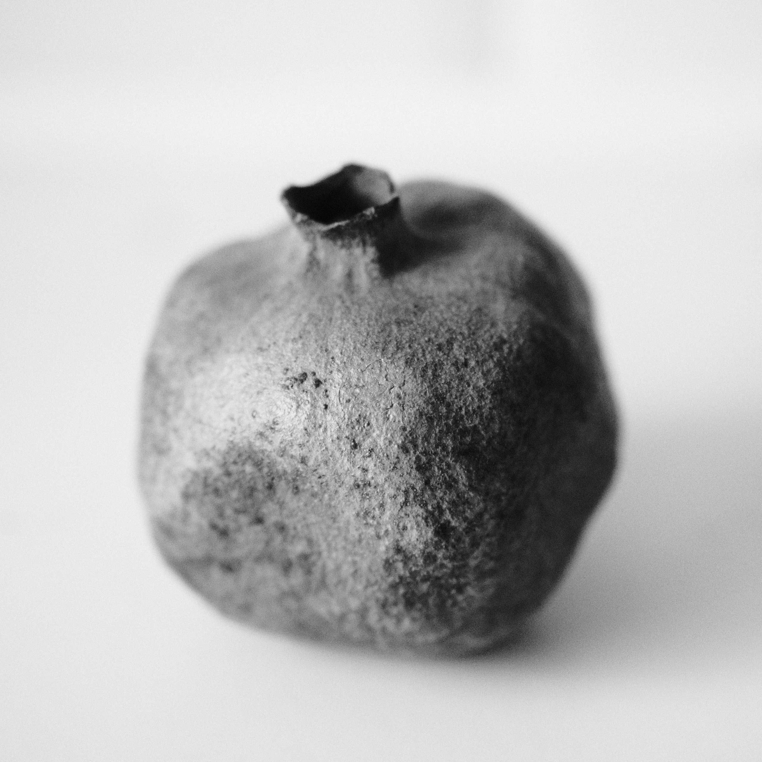 Фотография Alexander Palkin