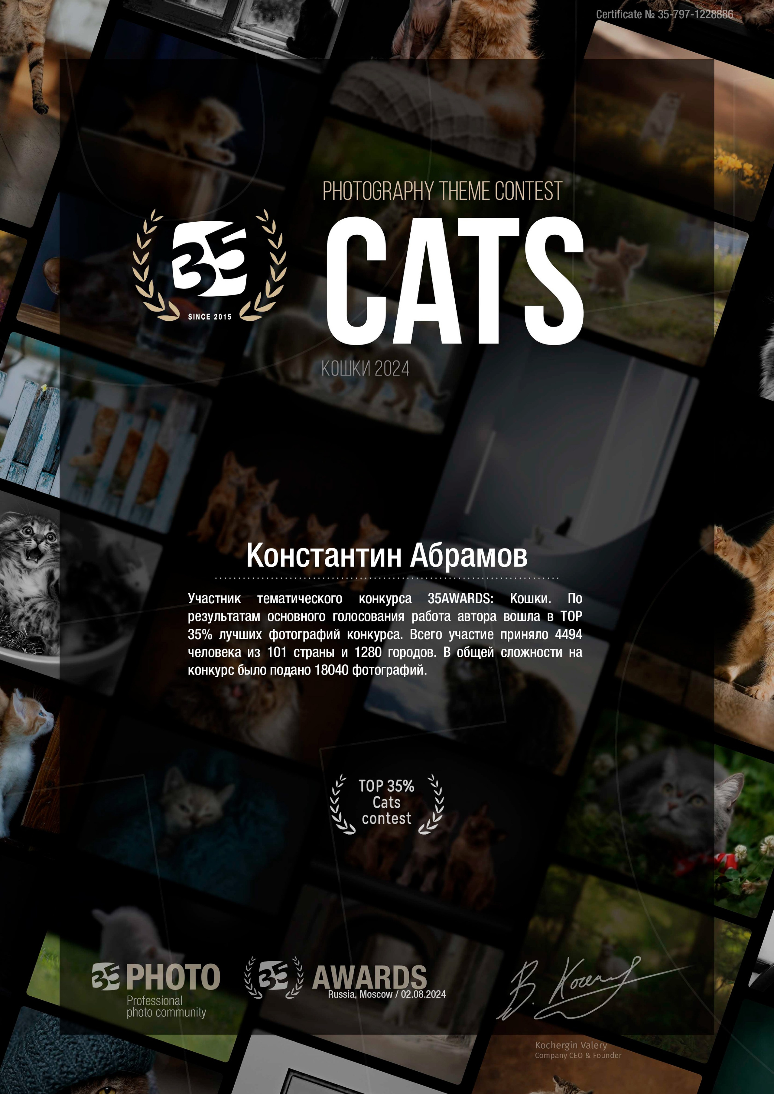 35 Awards «Кошки». Photomantis