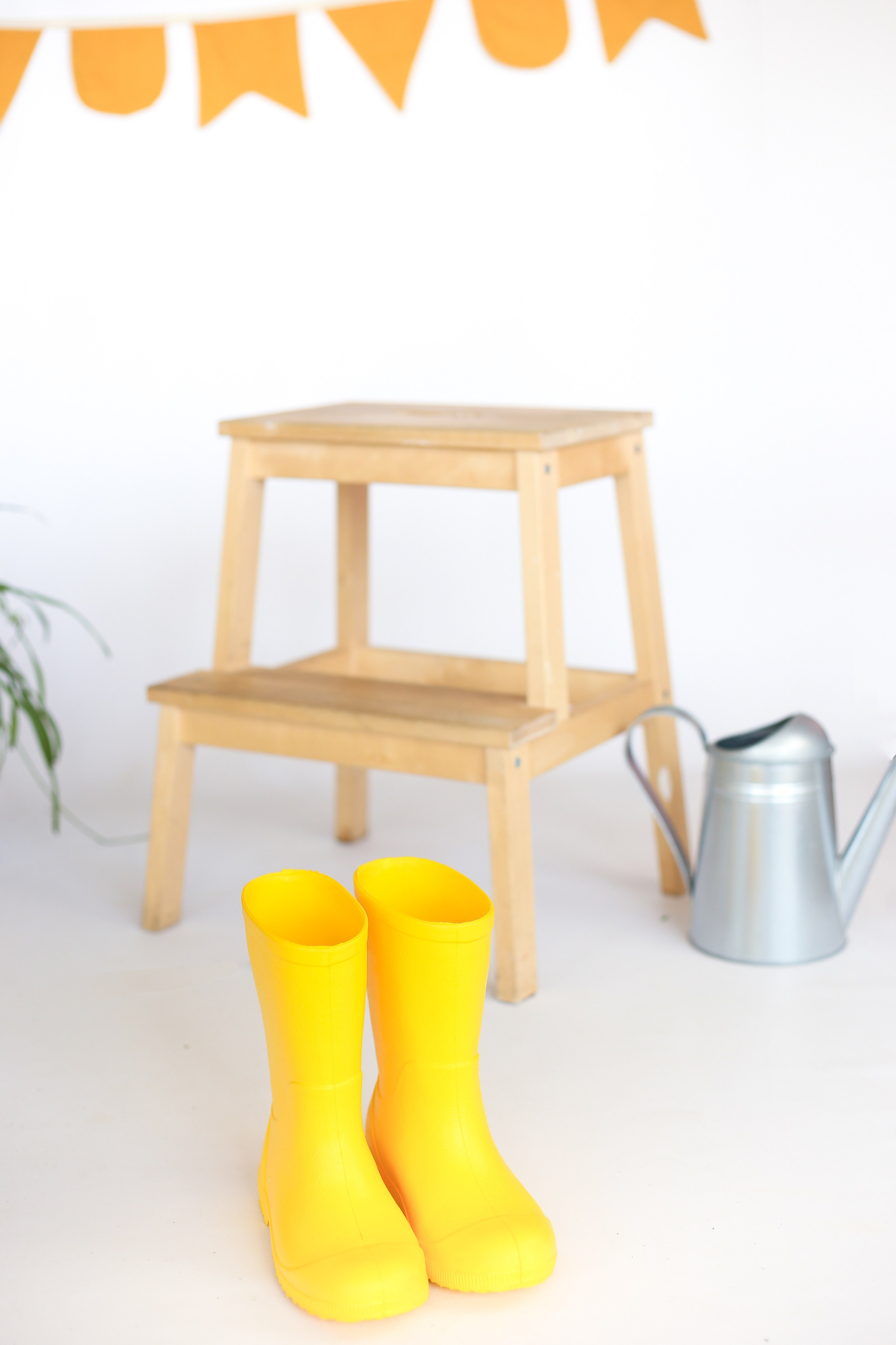 Экспресс фотосессии и фотодни в Балашихе и Железнодорожном