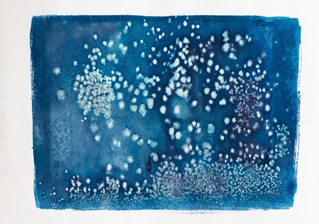 ЦИАНОТИПИЯ. CONTEMPORARY ARTIST OLGA ANDRIYASH