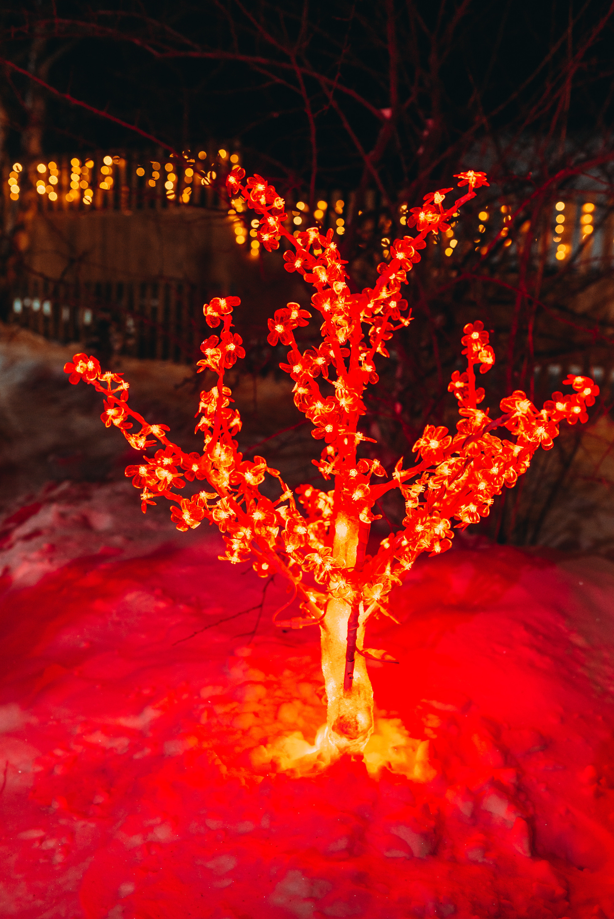 Новогодняя фотосессия под ключ в Иркутске Светящееся дерево красное на заснеженной лужайке