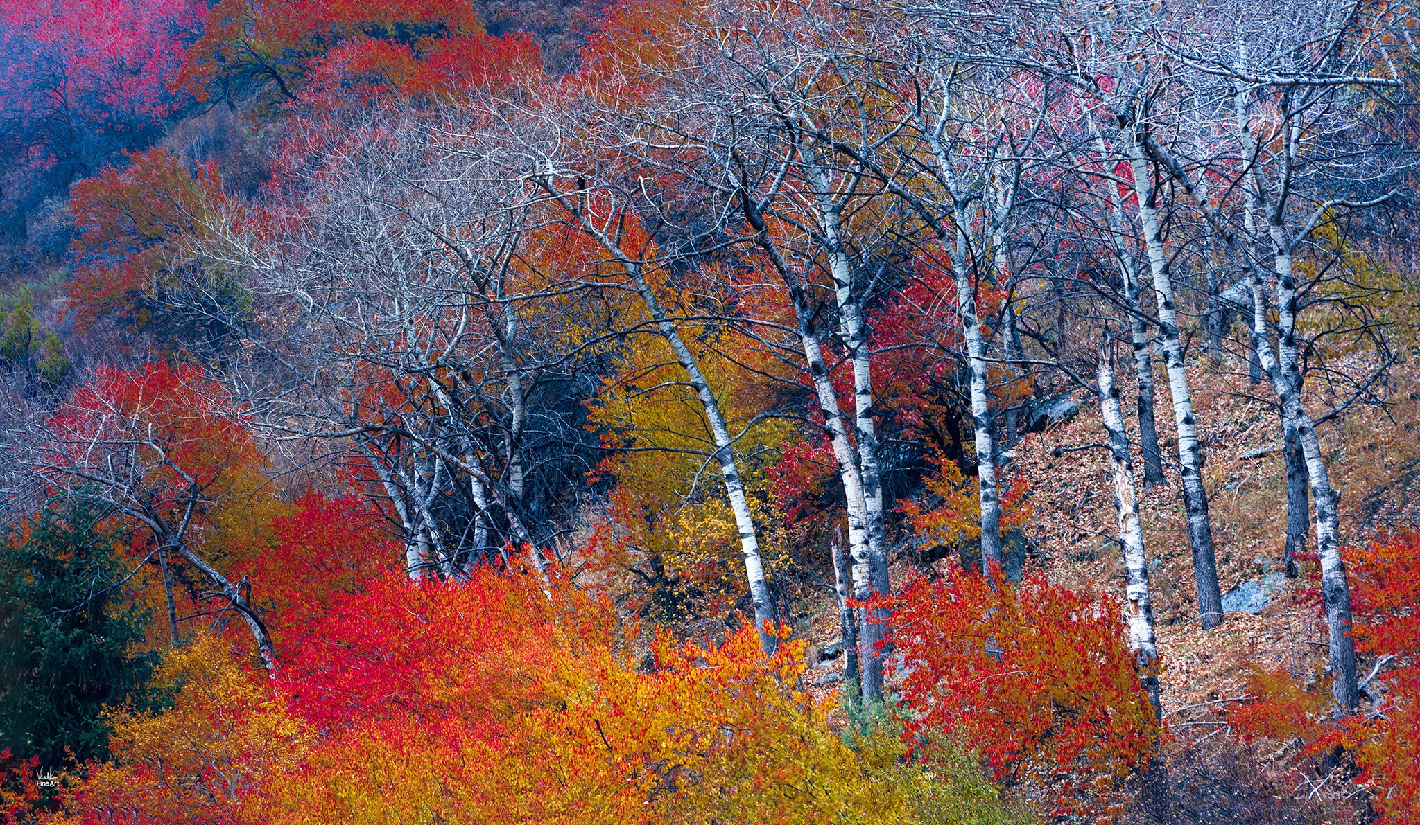 Картины о красоте, культурных ценностях и традициях Казахстана