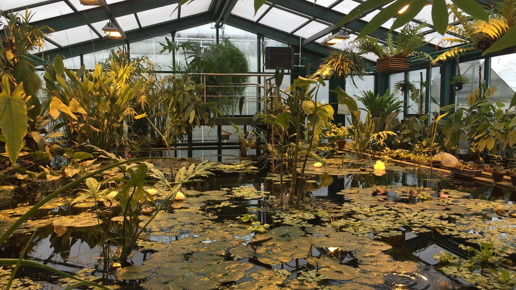 свадьба, свадебная фотосессия, лучшие свадебные