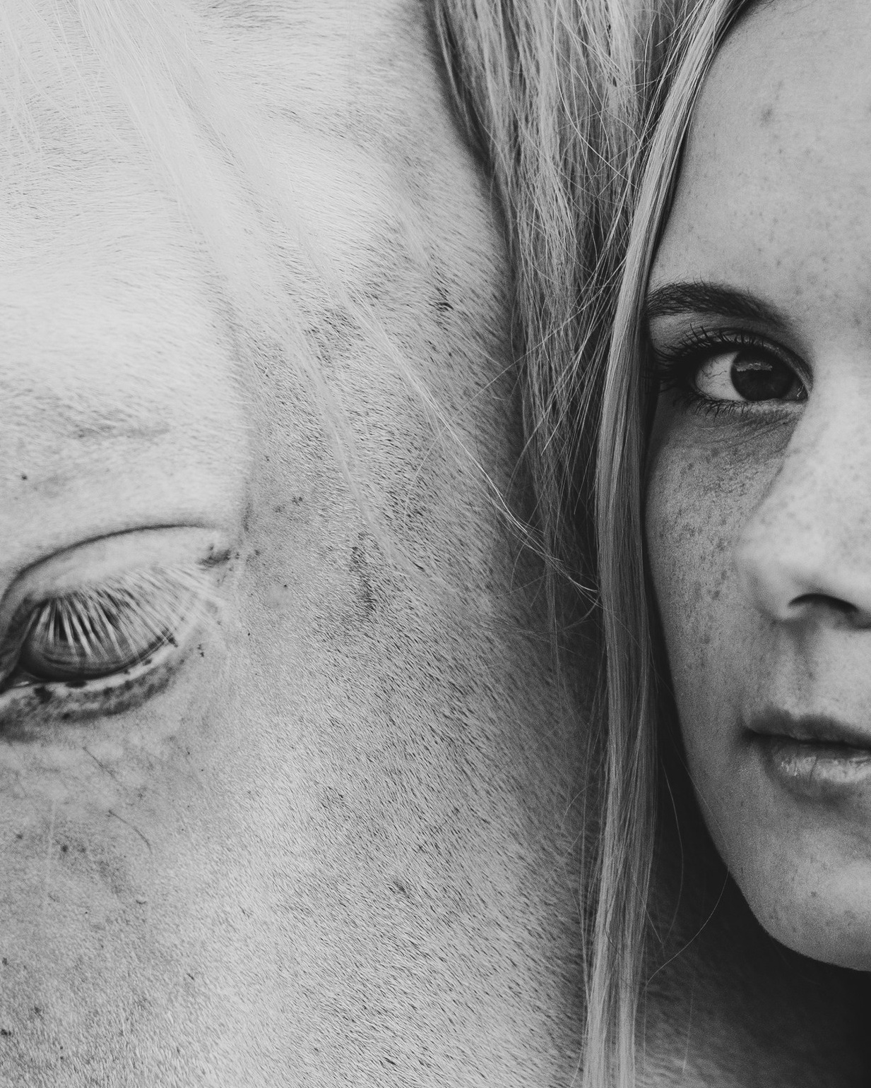 Услуги. Главная