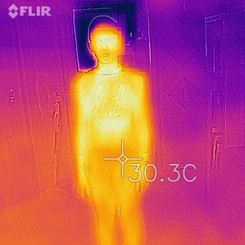 Выставка ''Вещь № 4'' с 26 августа по 26 октября 2020 года