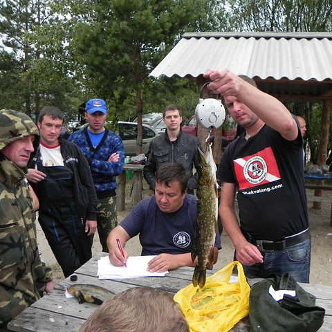 Соревнования по подводной охоте в Республике Беларусь, подводный форум https://www.akvalang.com/forum/