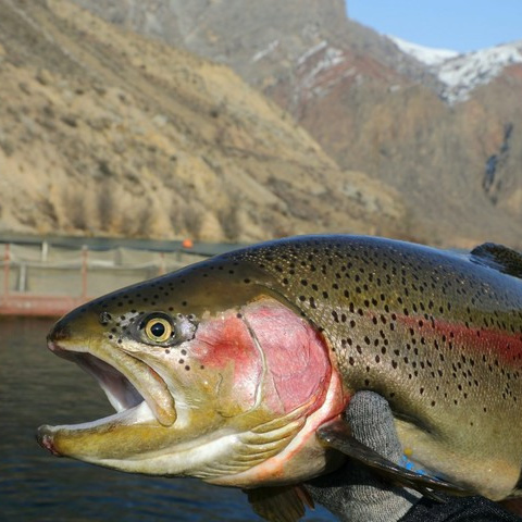 Майский тур. Новый уровень ваших путешествий по Алтаю