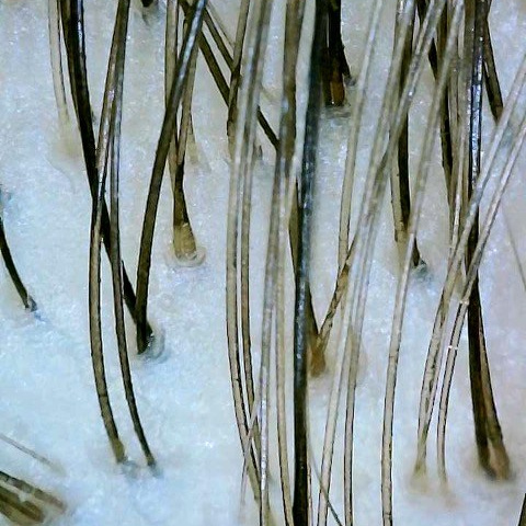 контакты фотография номер 1