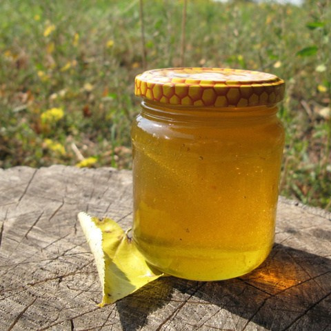 Купить натуральный мед с пасеки в Подмосковье на экоферме Марии Гиппенрейтер. Эко отдых в Подмосковье в эко-отеле Марии Гиппенрейтер