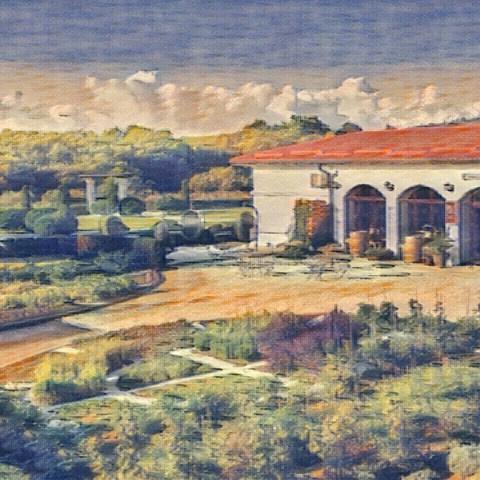 Локации для свадебной фотосессии в Анапе