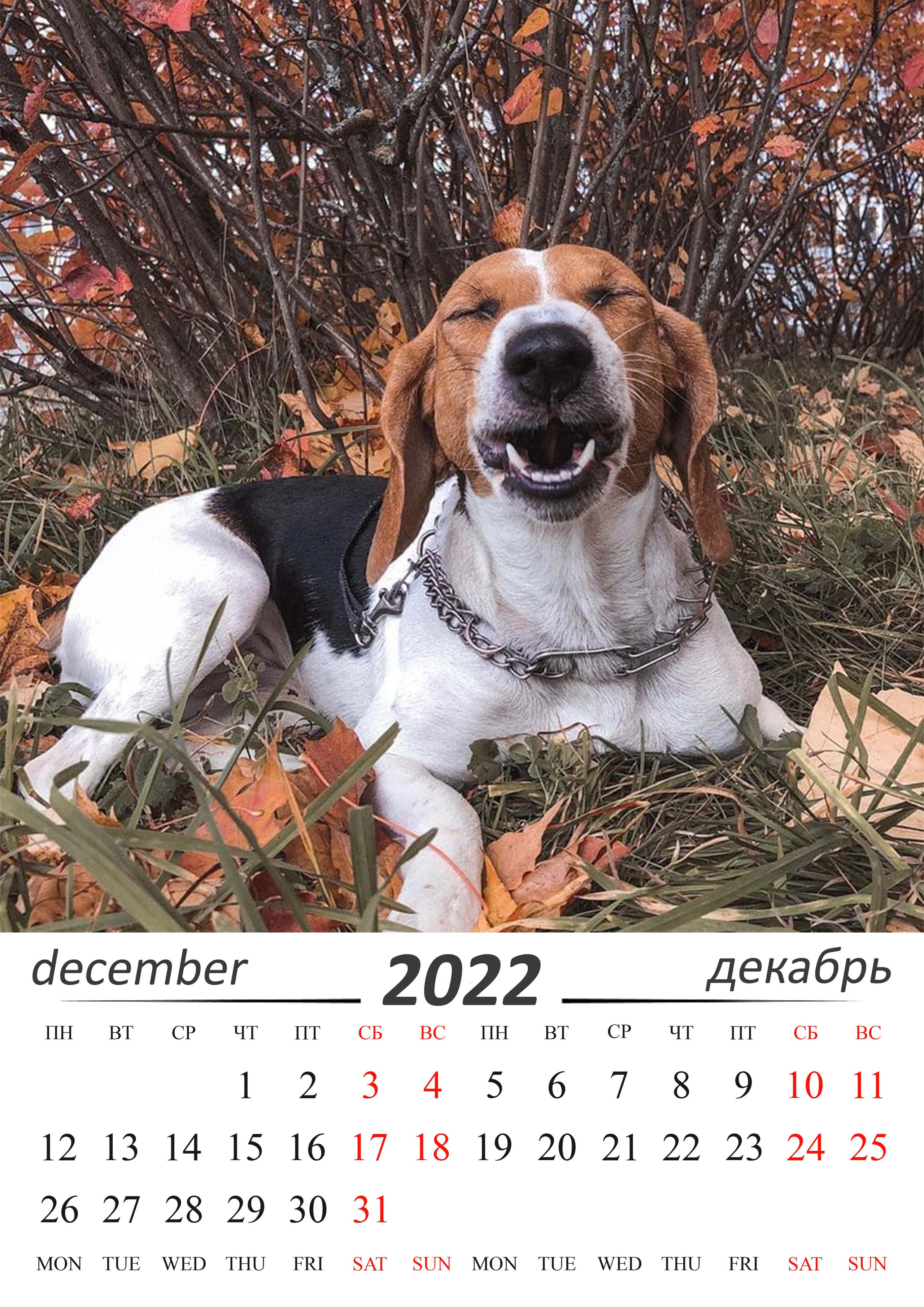 Календарь перекидной. AISA Foto