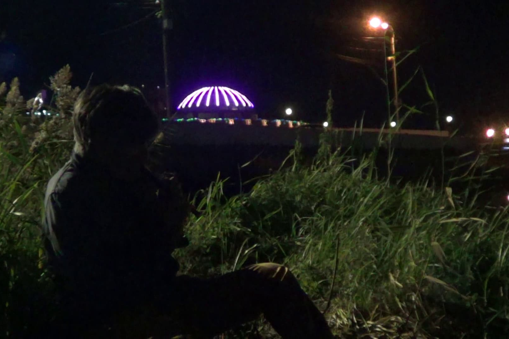 Performances. Artist Oleg Semenovykh