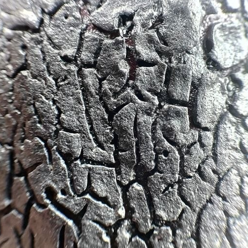 ARGILLA CERAMICS