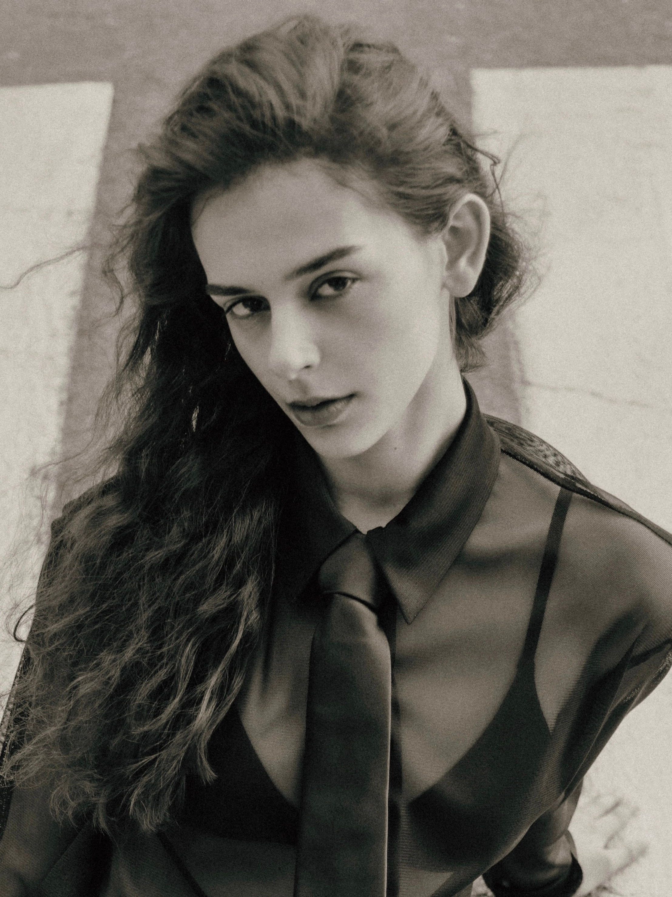 Roya. Axis model management