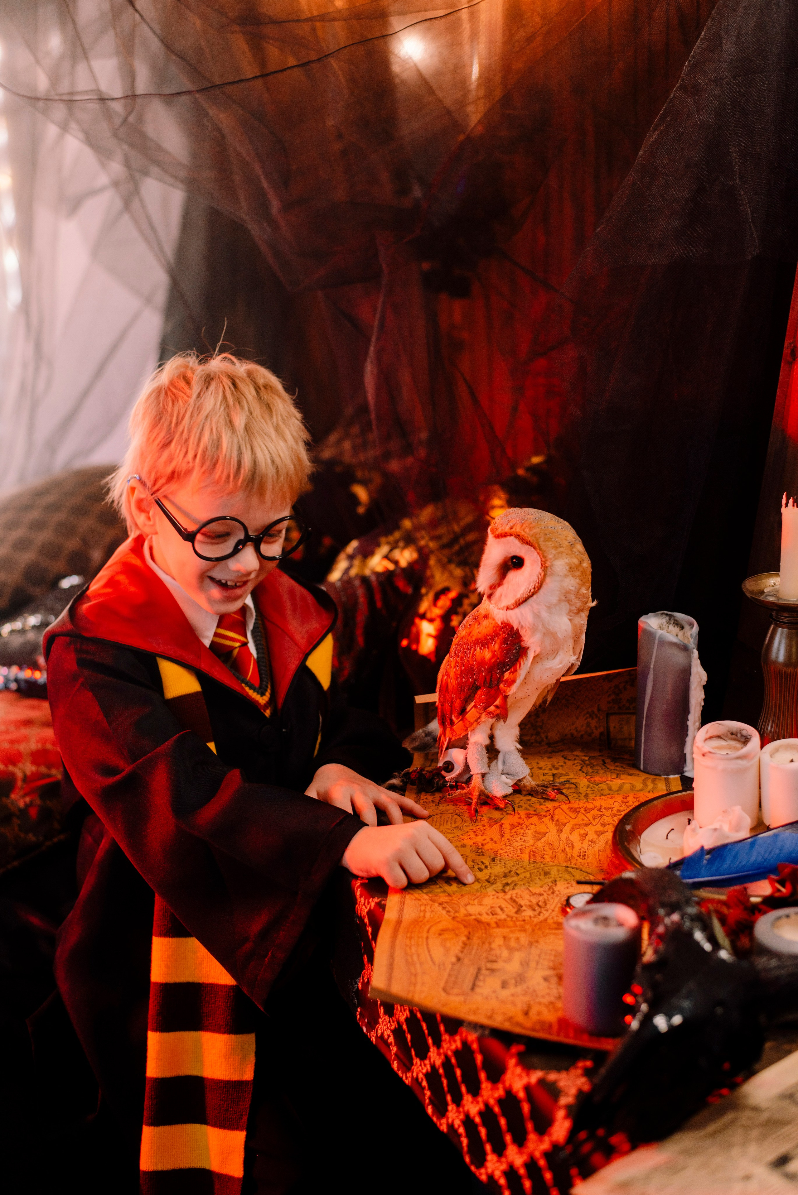 halloween magic cute kid photo little wizard owl autumn
