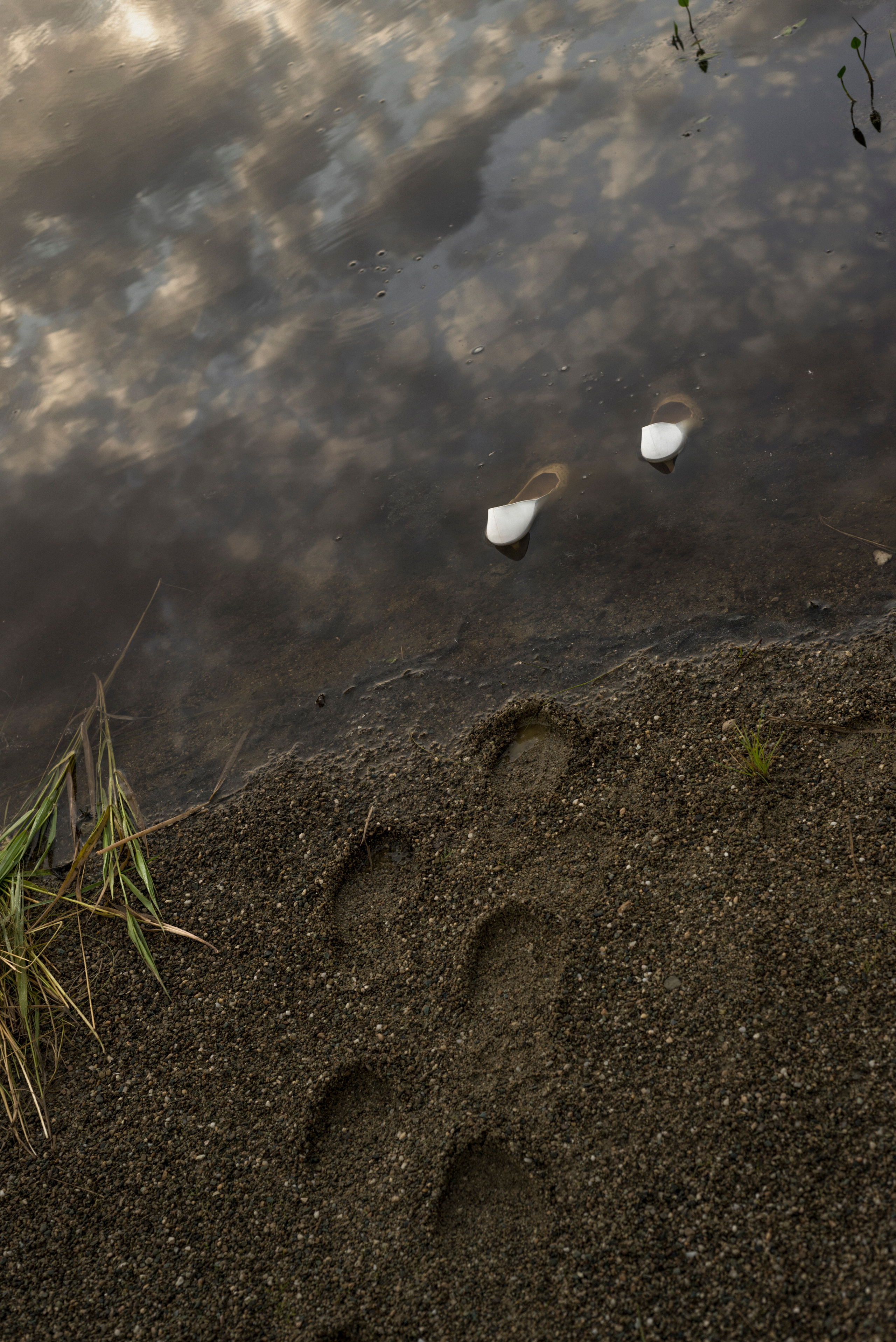 Дневник русалки. Plechinta Ekaterina documentary photographer