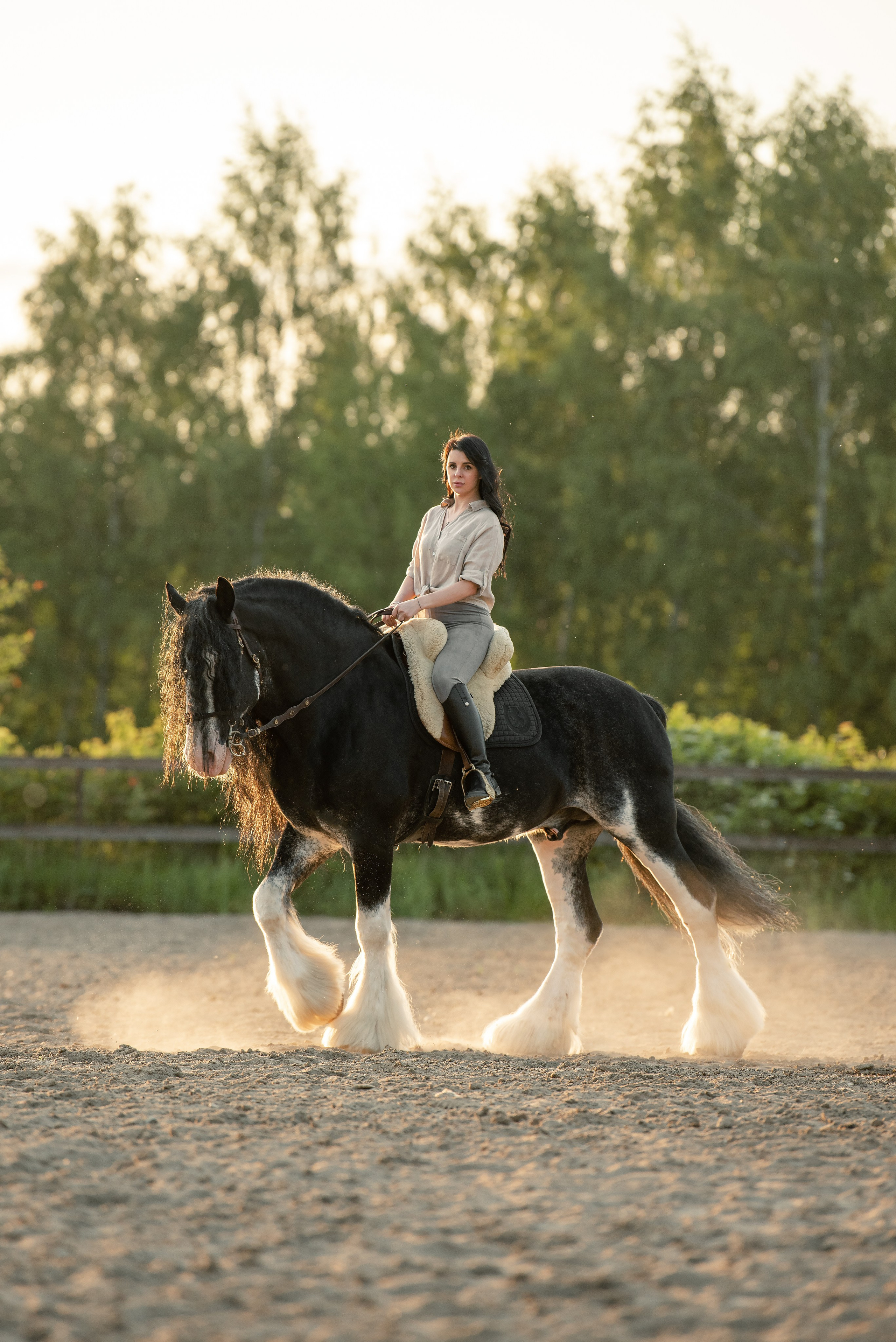 Каталог лошадей. Конный фотограф в Москве — Дарья Алексеева | Премиальные фотосессии с лошадьми