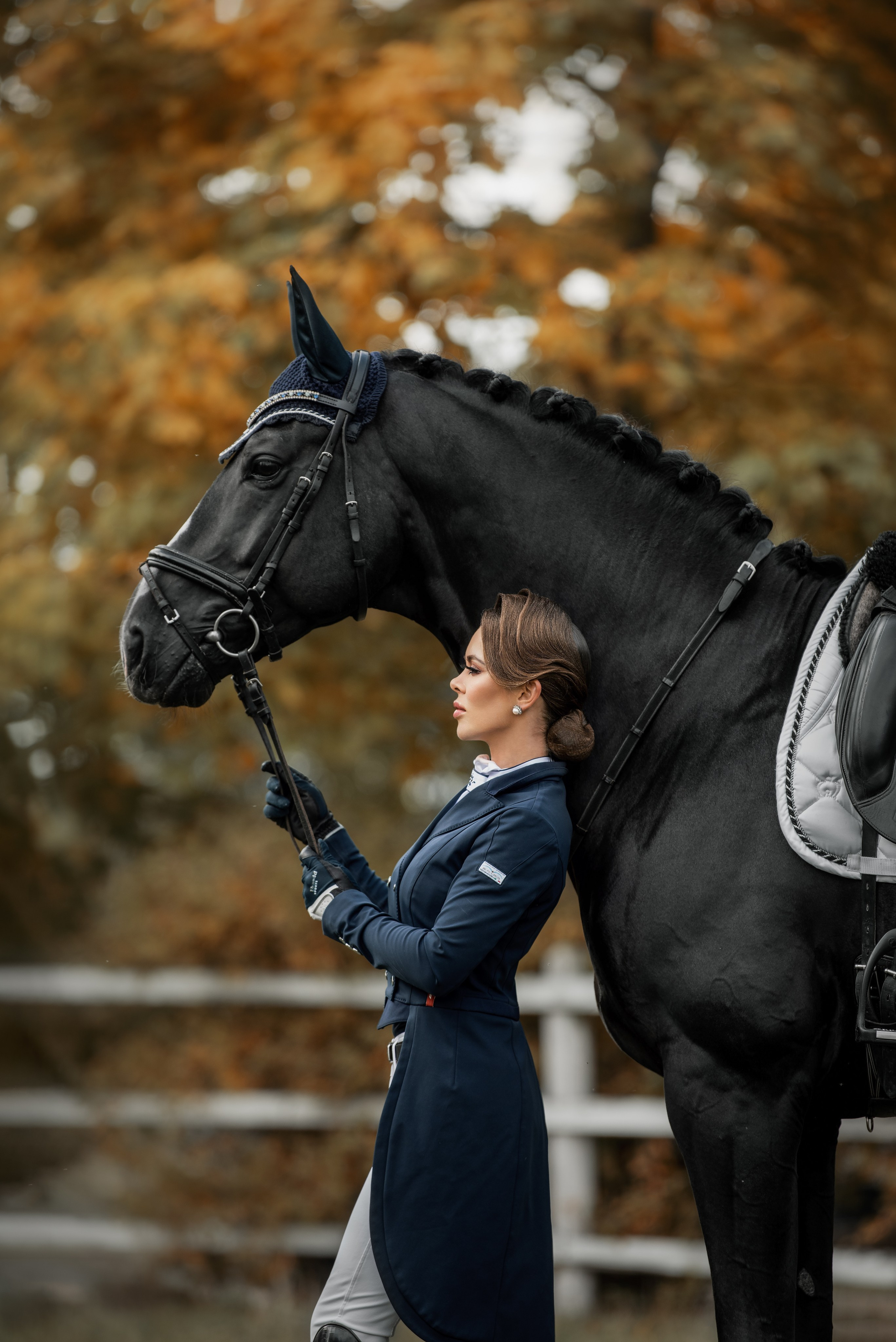 Каталог лошадей. Конный фотограф в Москве — Дарья Алексеева | Премиальные фотосессии с лошадьми