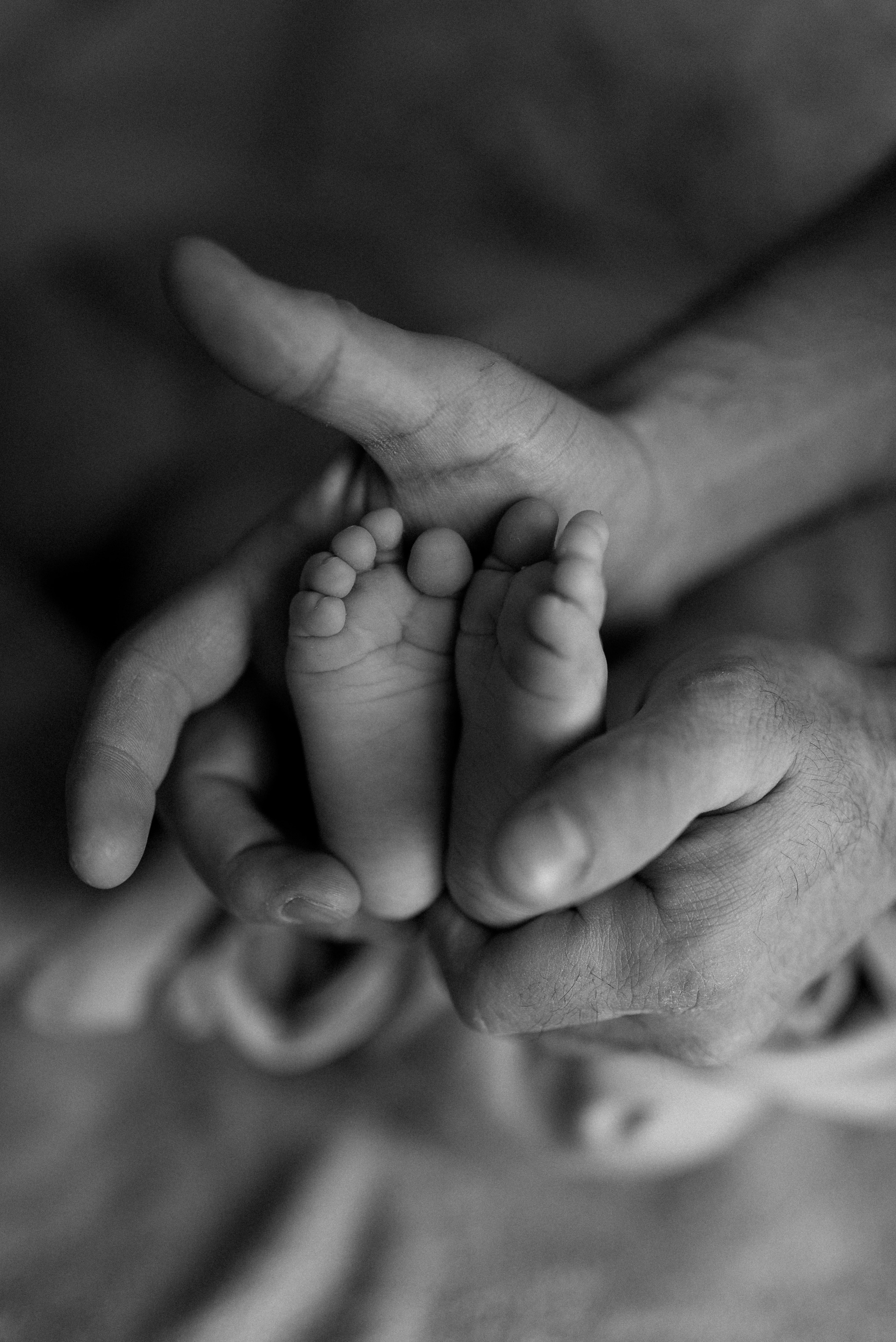 Услуги. Семейный фотограф в Москве Екатерина Север