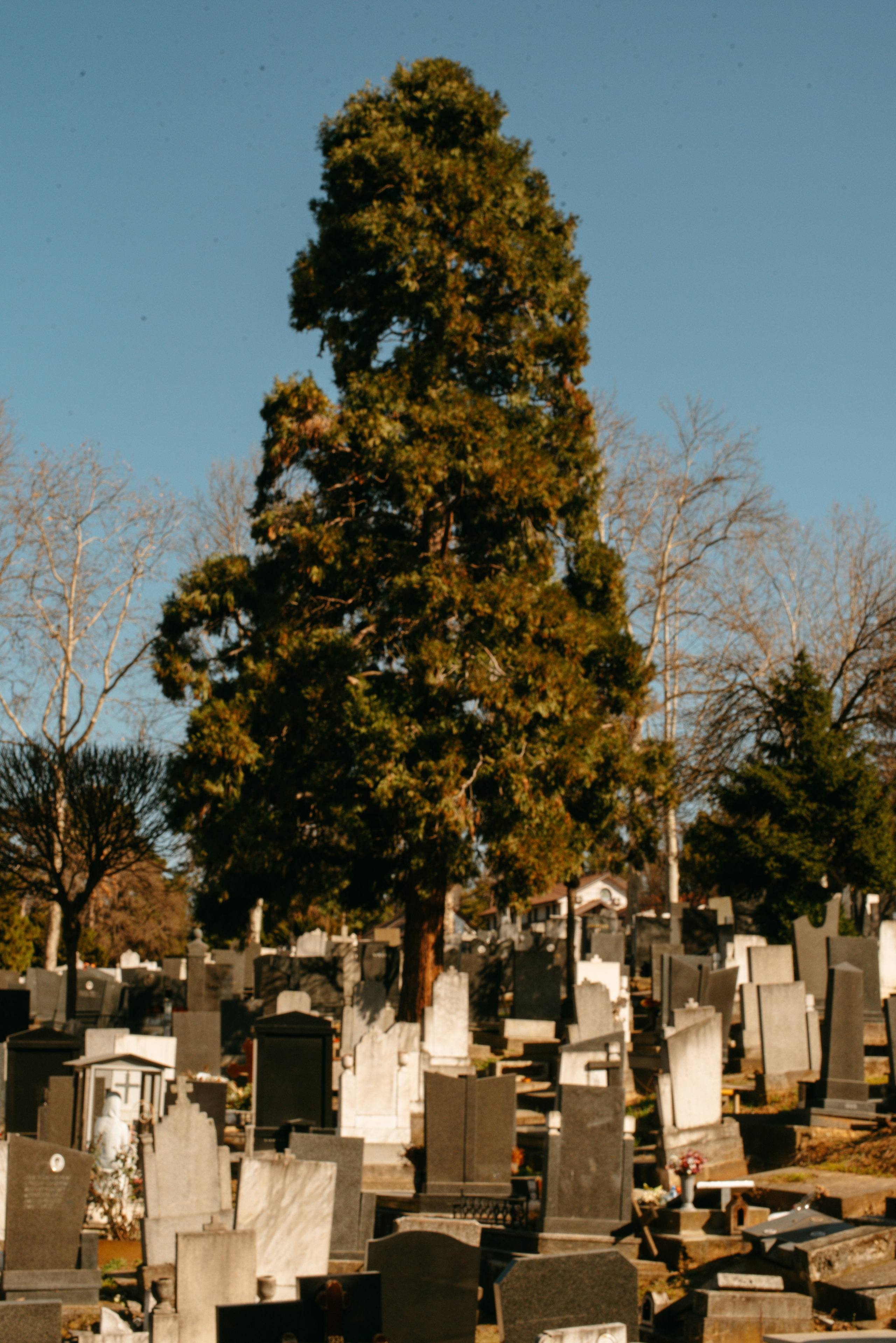 Эстетика тишины. Art-photographer Ira Wind