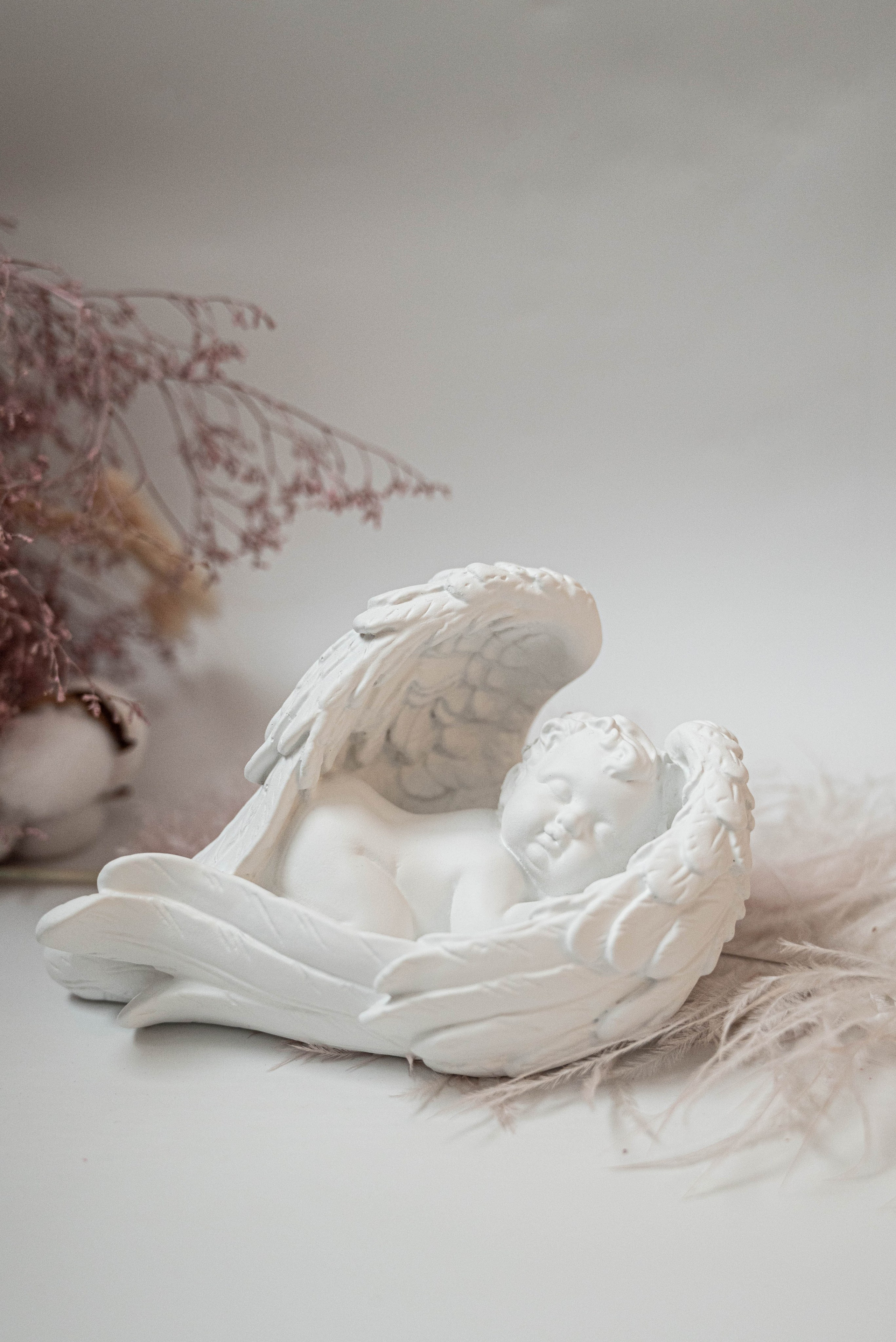 Предметная съемка. Главная