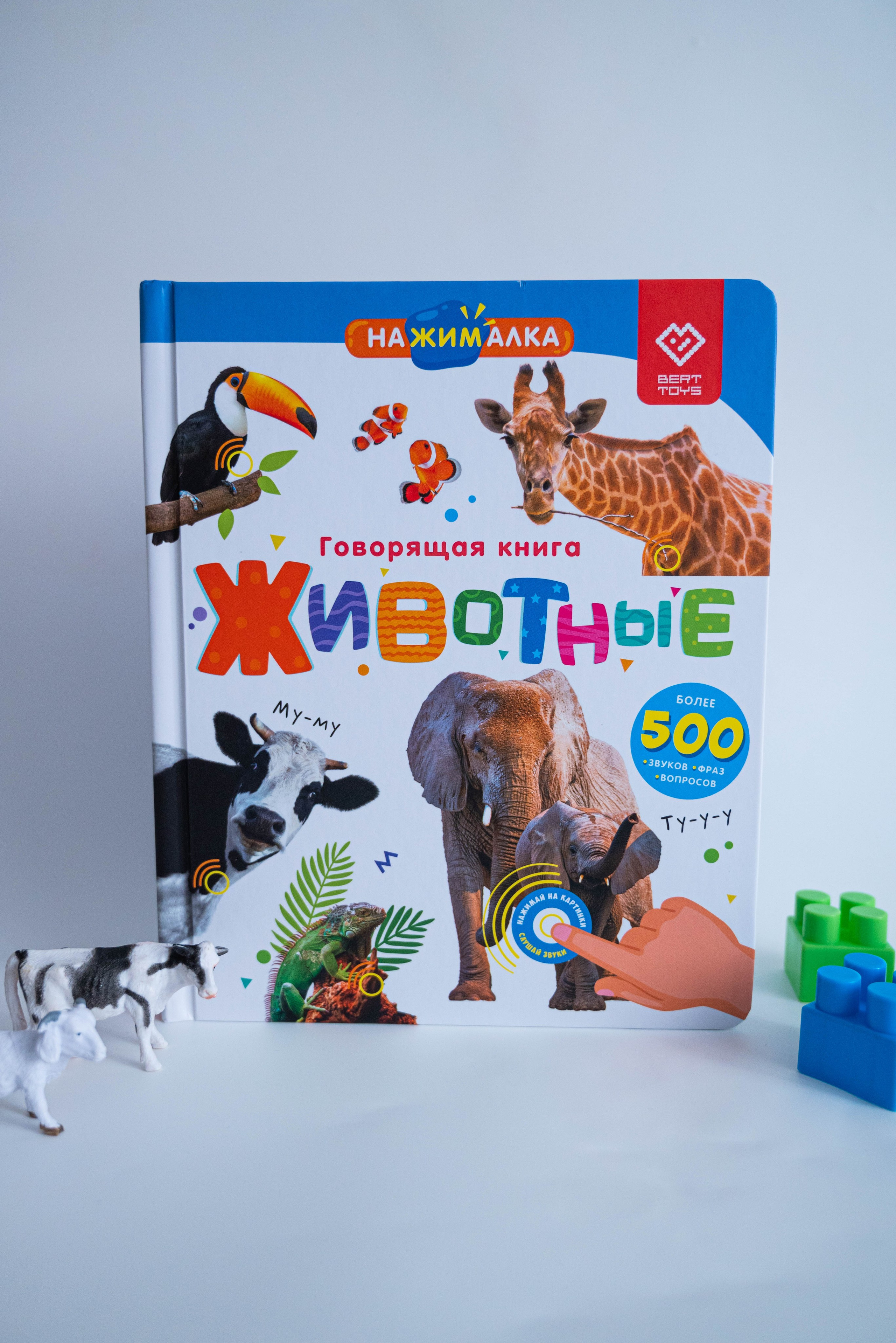 Предметная съемка. Главная