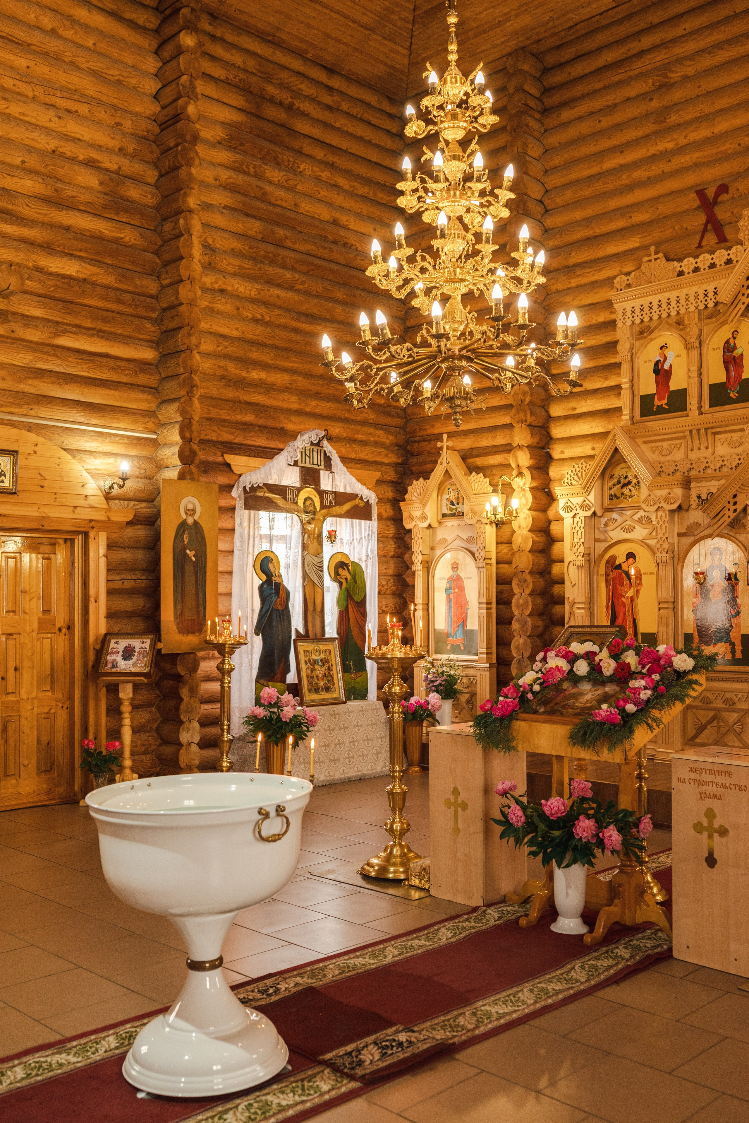 Фотосессии. Фотограф в Каменске-Шахтинском Ольга Сагал