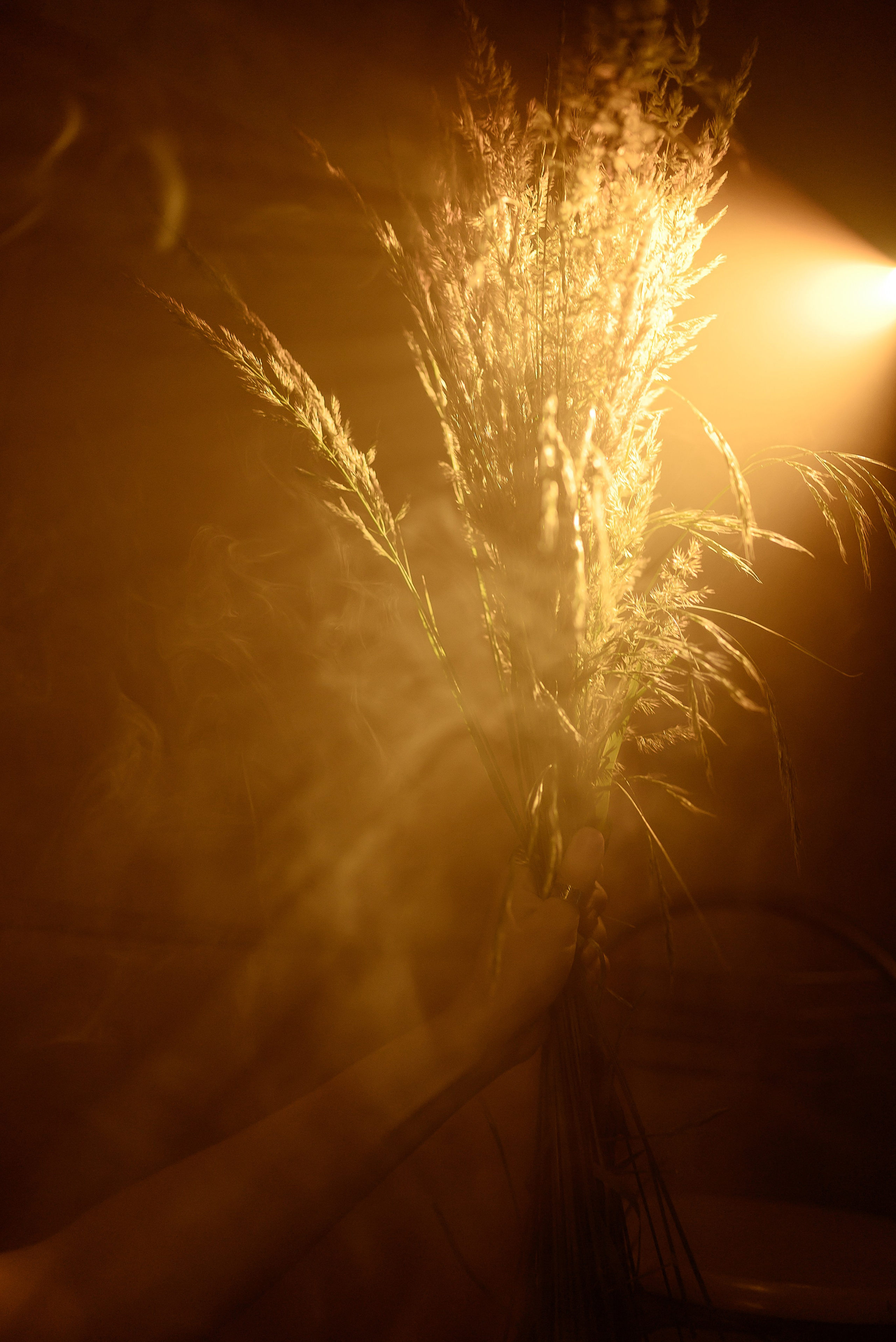 Художественный портрет. Фотограф в Ярославле