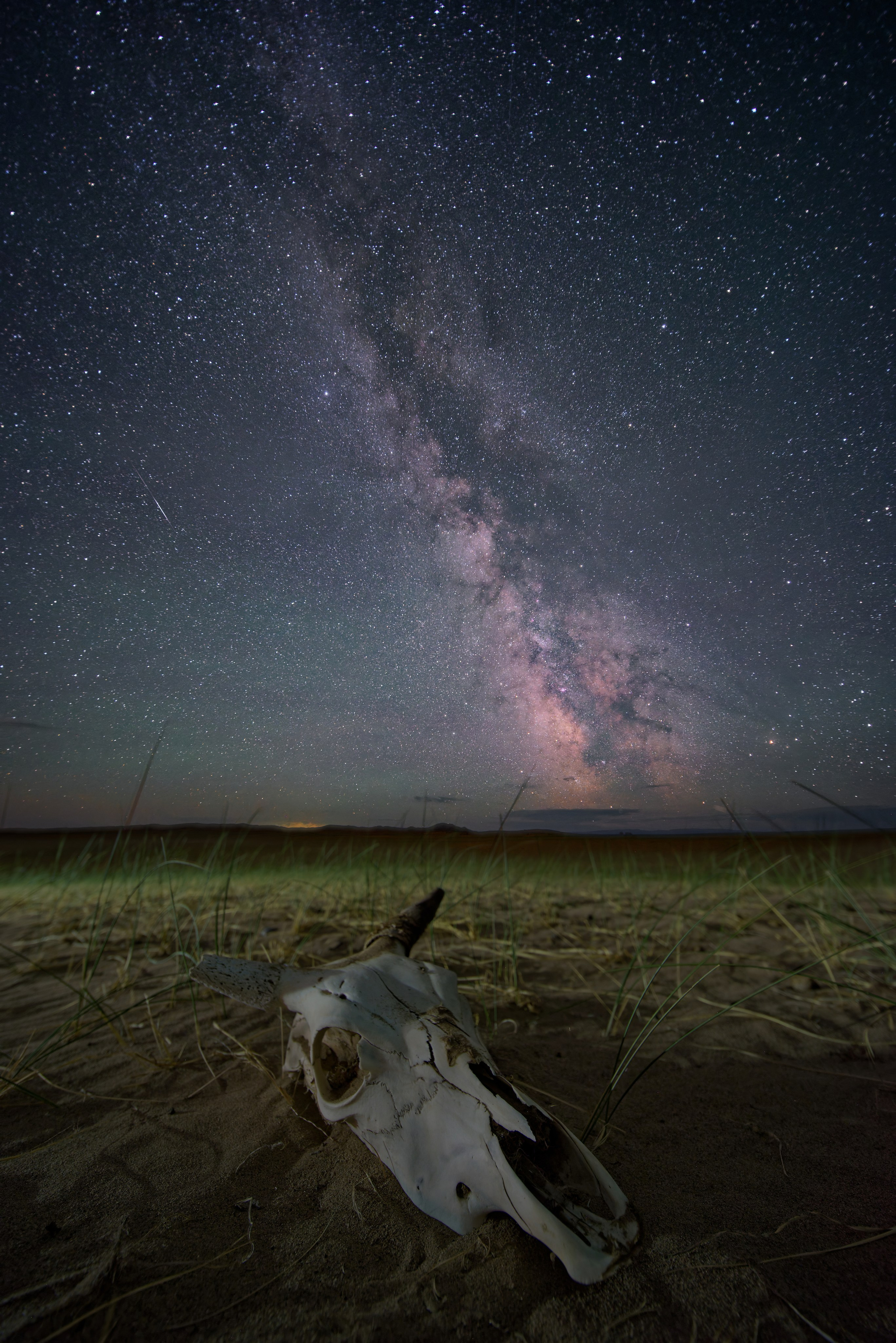 Экспедиция в Монголию (Гоби). Семоха Валерий. Фотограф