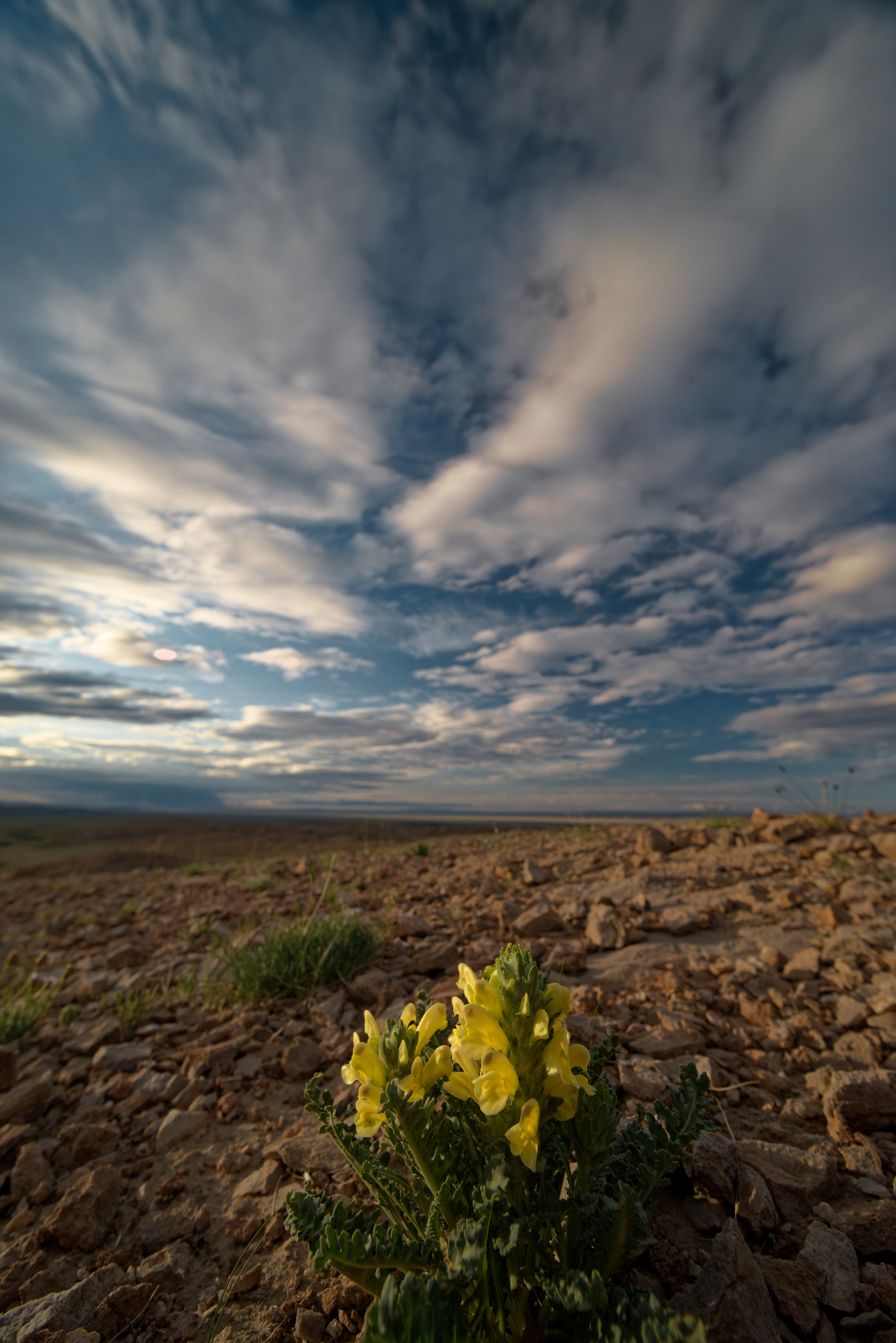 Экспедиция в Монголию (Гоби). Семоха Валерий. Фотограф
