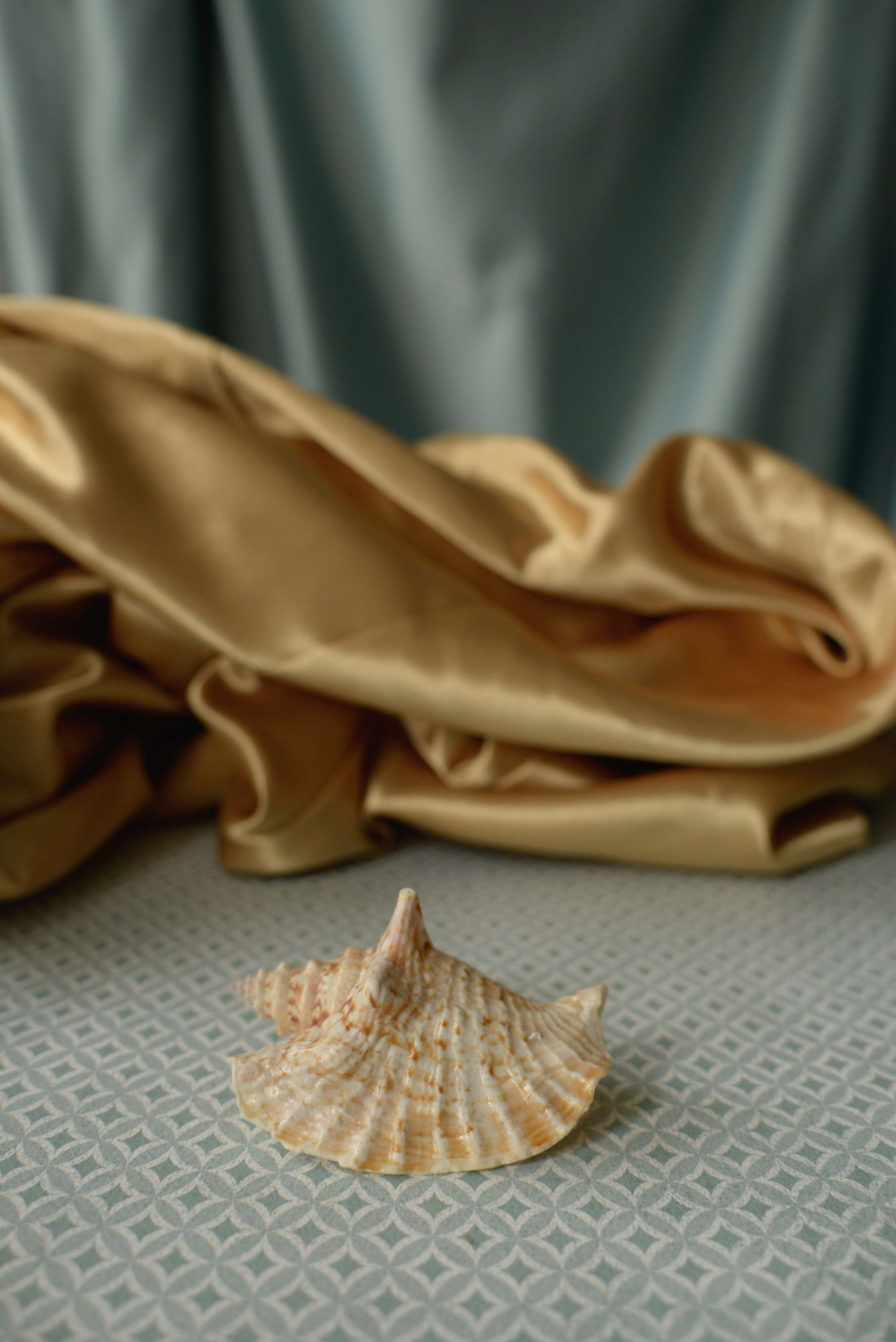 Абстракция, натюрморт и др. Арт фотограф Алина Гребешкова, Химки, Москва