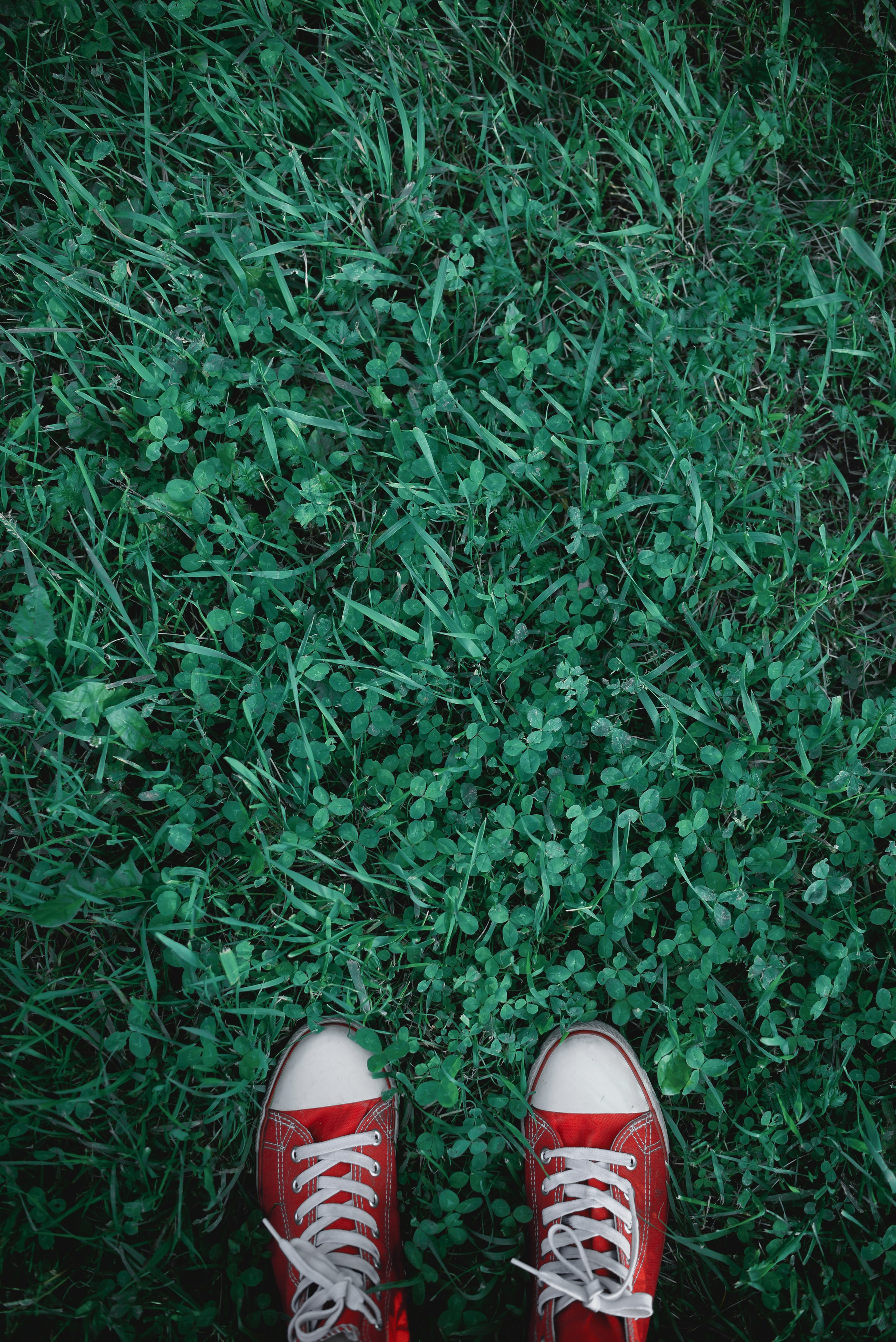 Абстракция, натюрморт и др. Арт фотограф Алина Гребешкова, Химки, Москва