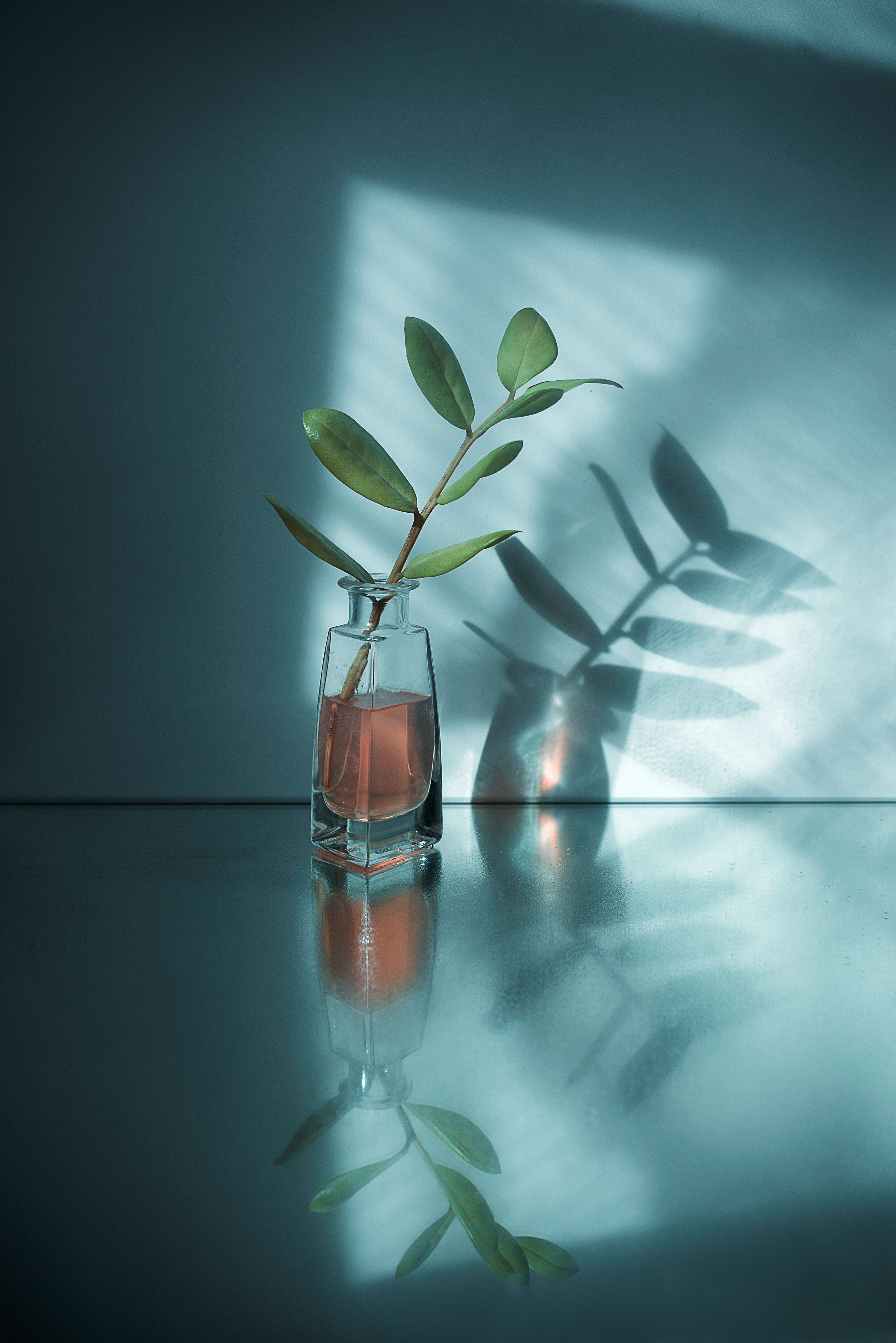 Абстракция, натюрморт и др. Арт фотограф Алина Гребешкова, Химки, Москва