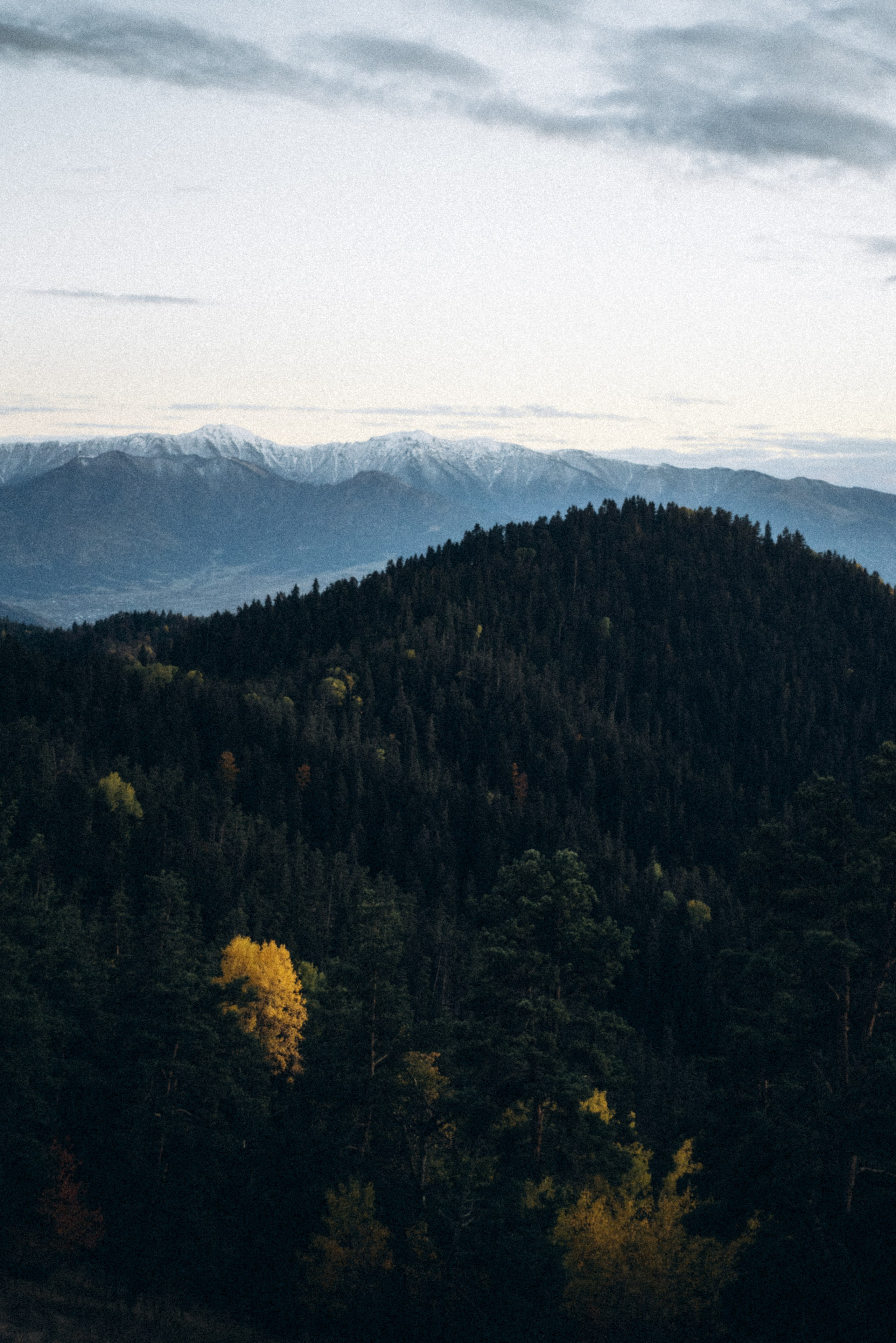 Боржоми, Грузия 🇬🇪. Anita_photo