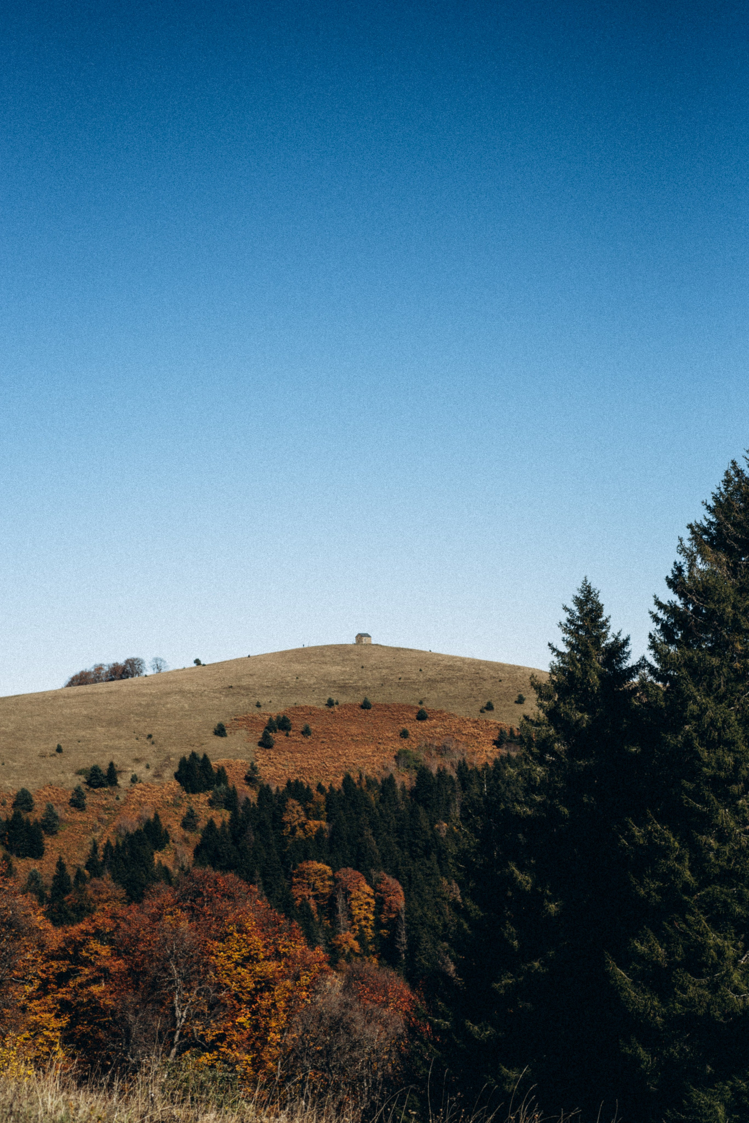 Боржоми, Грузия 🇬🇪. Anita_photo