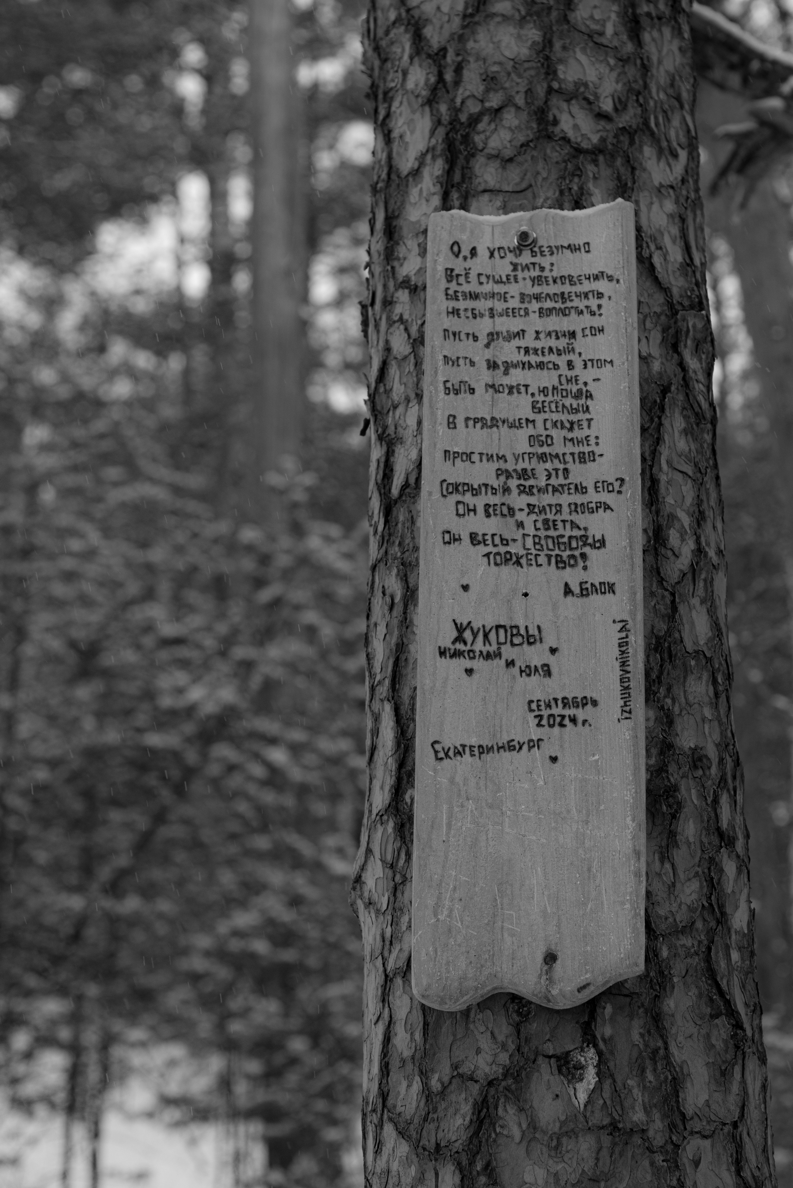 Аракульские Шиханы. январь 2026. Фотограф Евгений Серебряков в Екатеринбурге