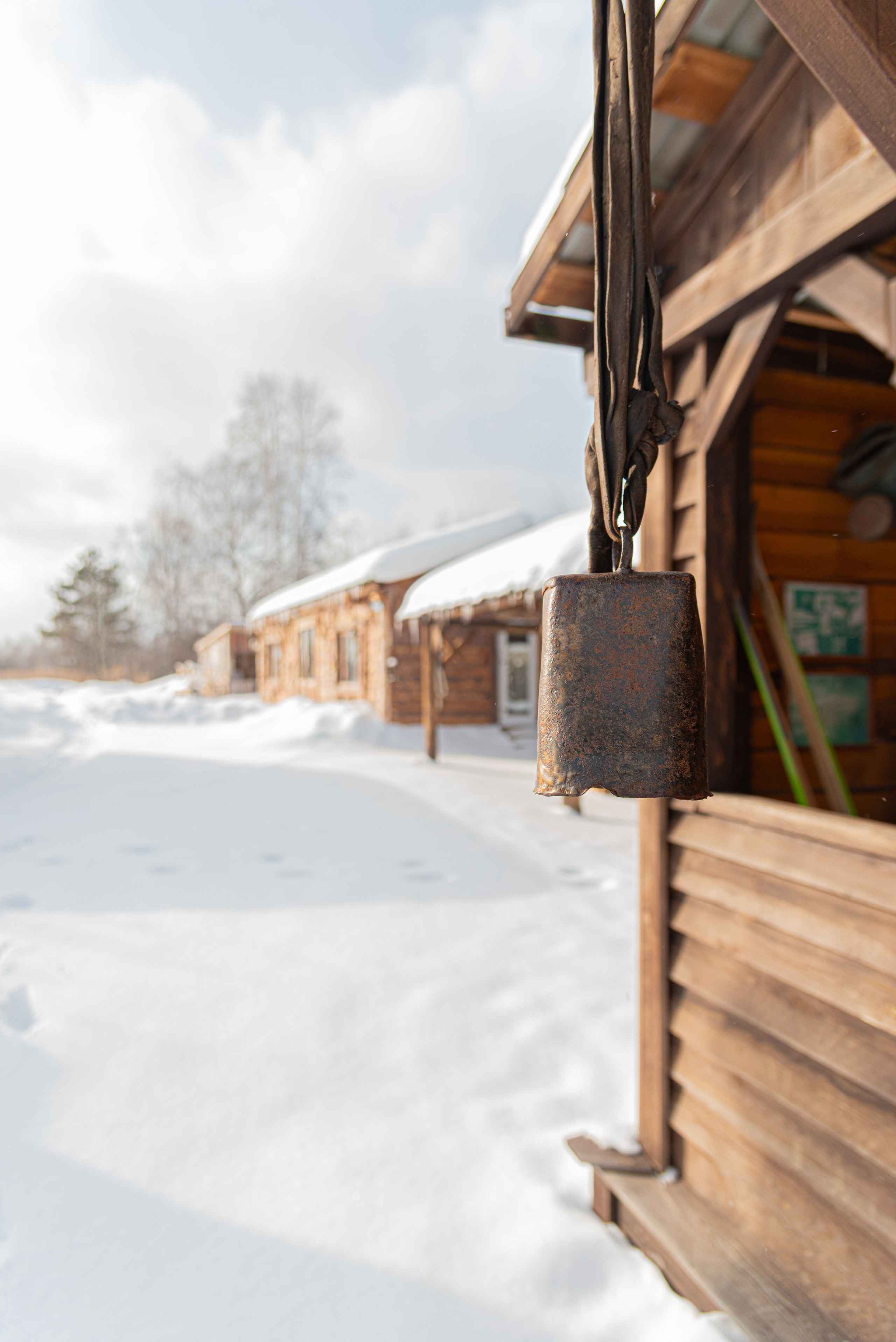 Прогулка до Мичуринских прудов. Фотограф Евгений Серебряков в Екатеринбурге